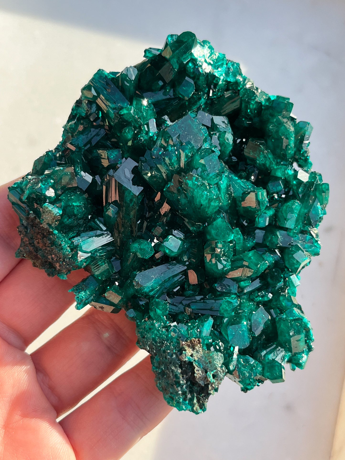 “The Queen” AA Grade Dioptase Specimen