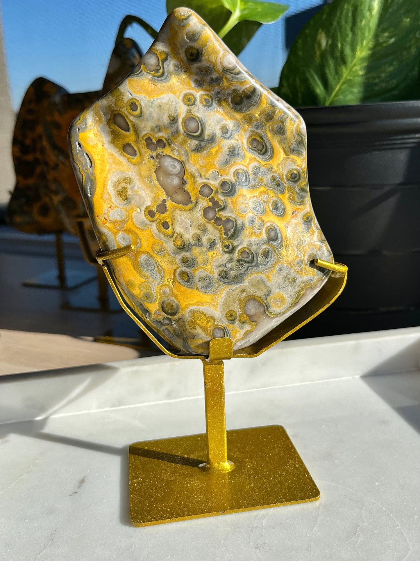 Rare Orbicular Bumblebee Jasper Polished Freeform on Stand #5