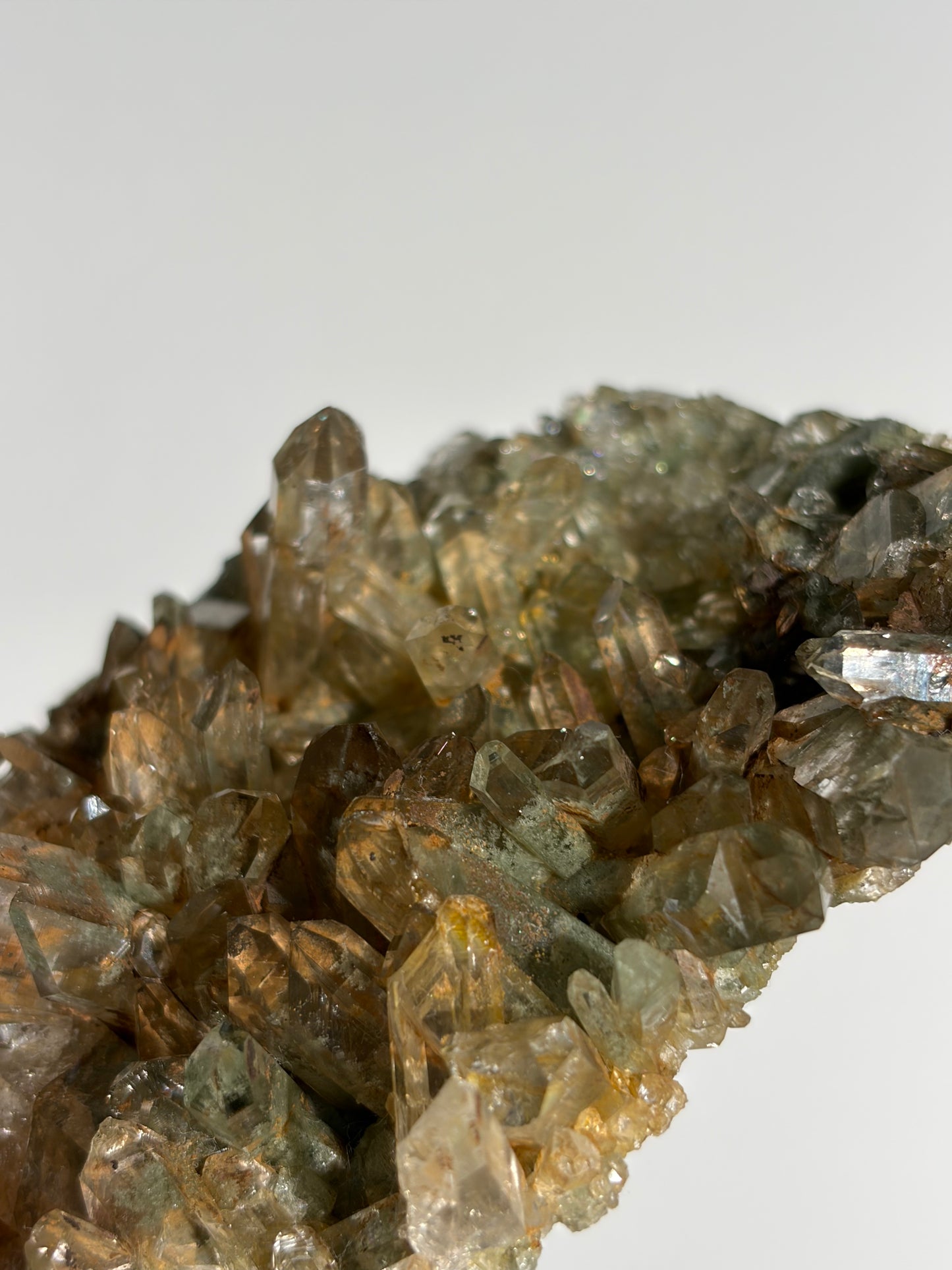 Golden Healer Chlorite Included Quartz Specimen F