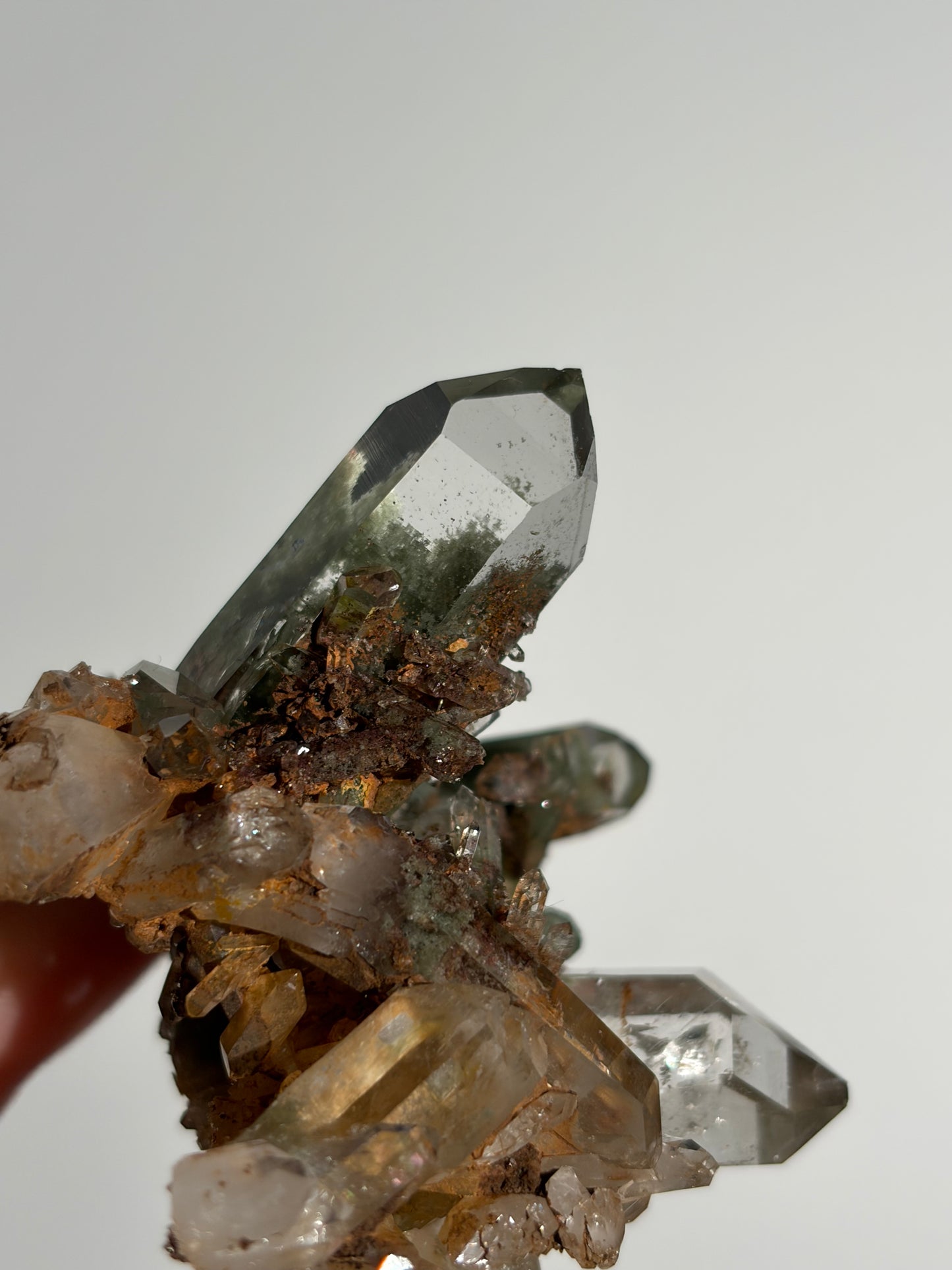 Water Clear Golden Healer Chlorite Included Quartz Specimen H