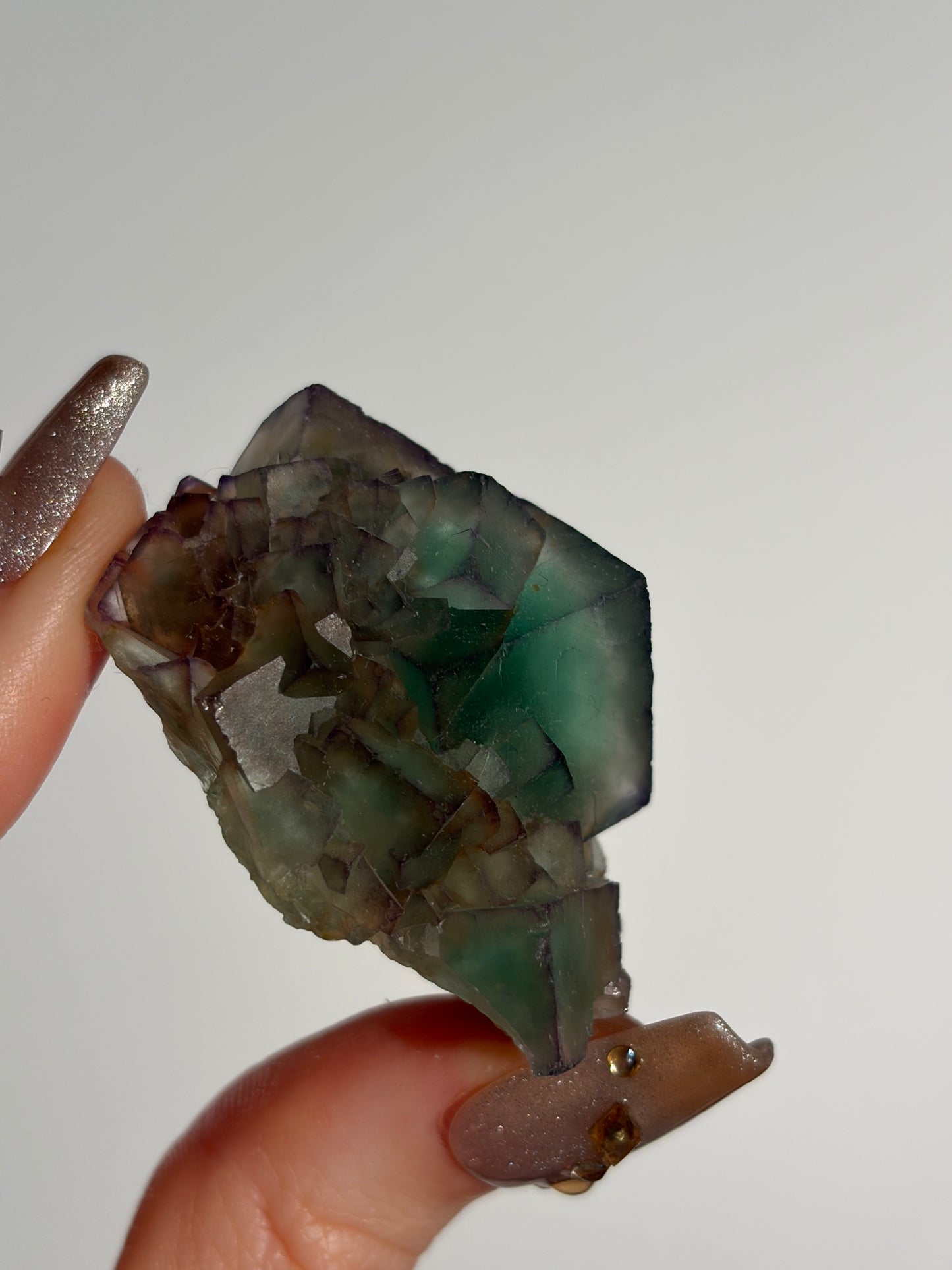 Halo Garden Fluorite Specimen L
