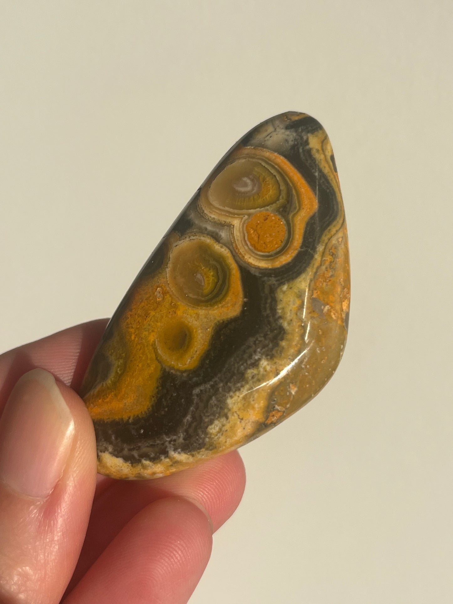 'Contour' Old Stock Orbicular Bumblebee Jasper Palmstone (mined 2016)