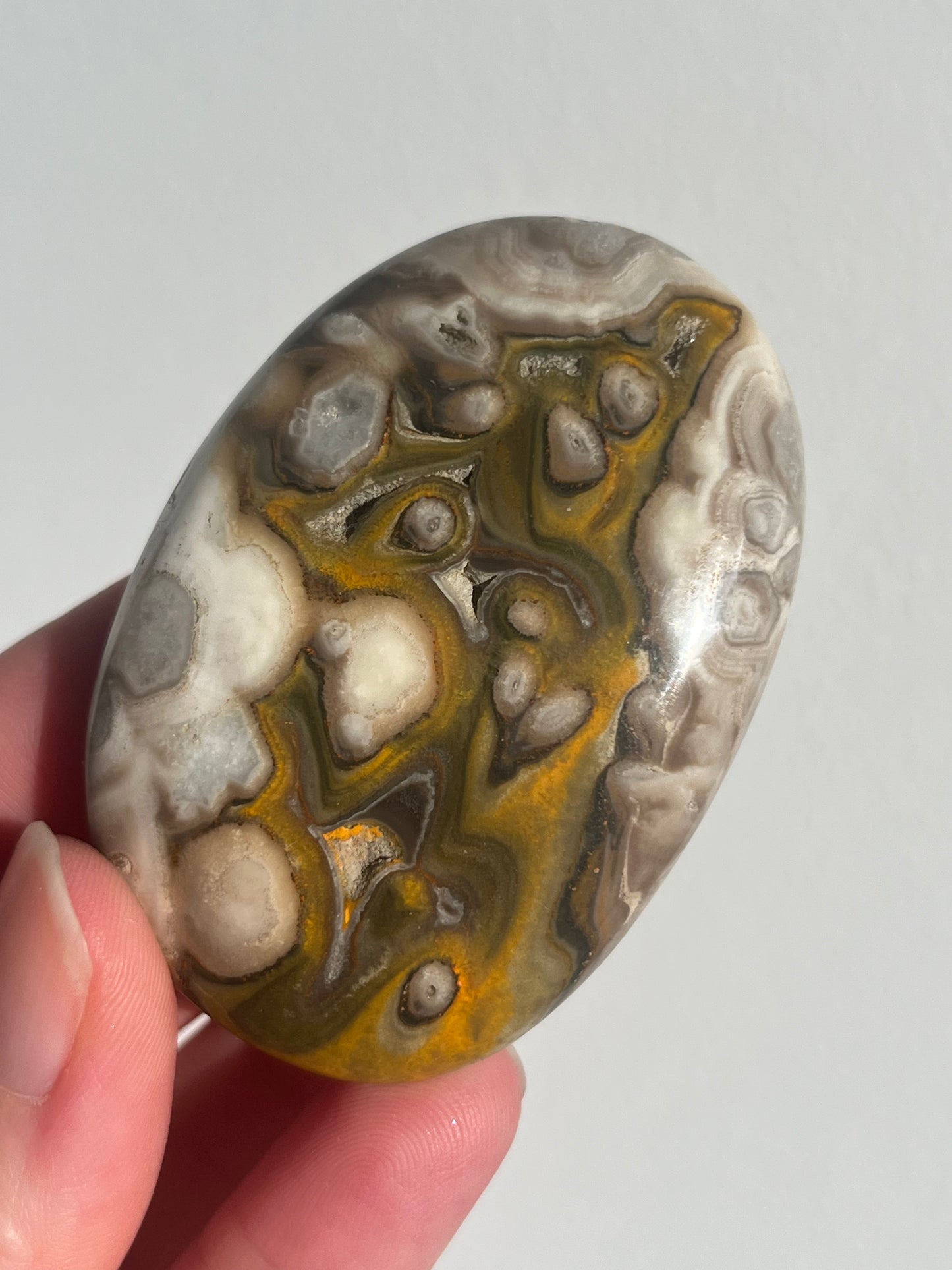 'Plume' Old Stock Orbicular Bumblebee Jasper Palmstone (mined 2016)