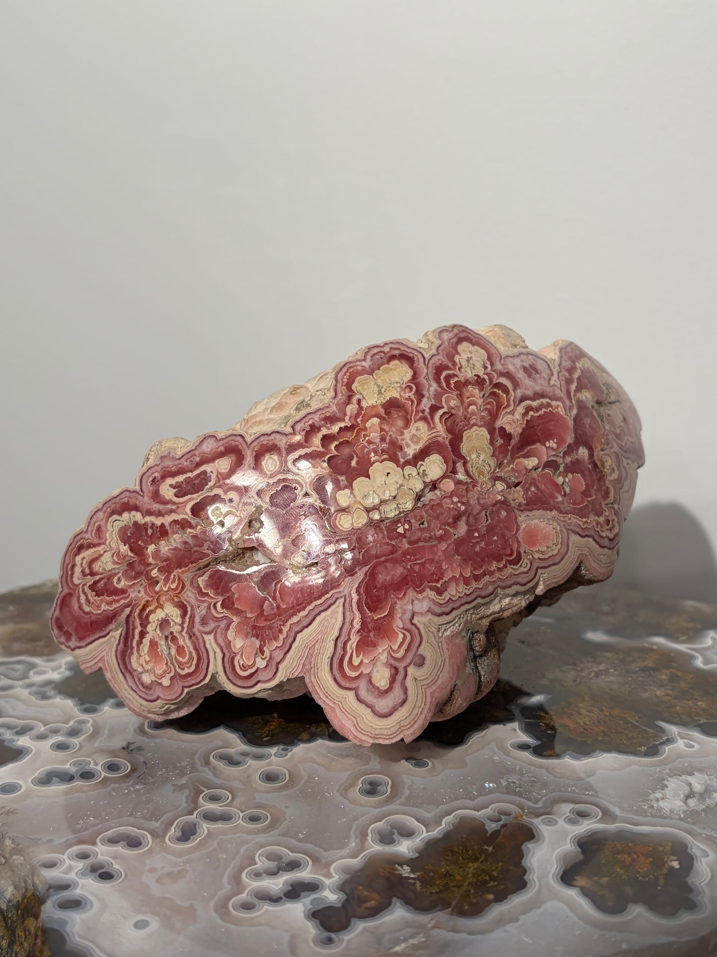 “Tierra Rosa” Botryoidal Floral Rhodochrosite Statement Freeform (Collector’s Choice)