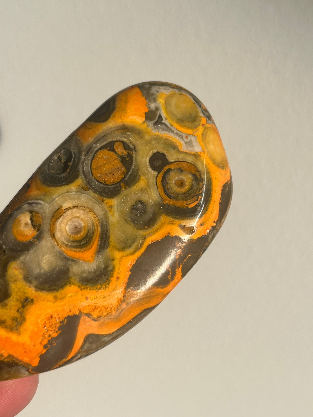 Old Stock Orbicular Bumblebee Jasper
