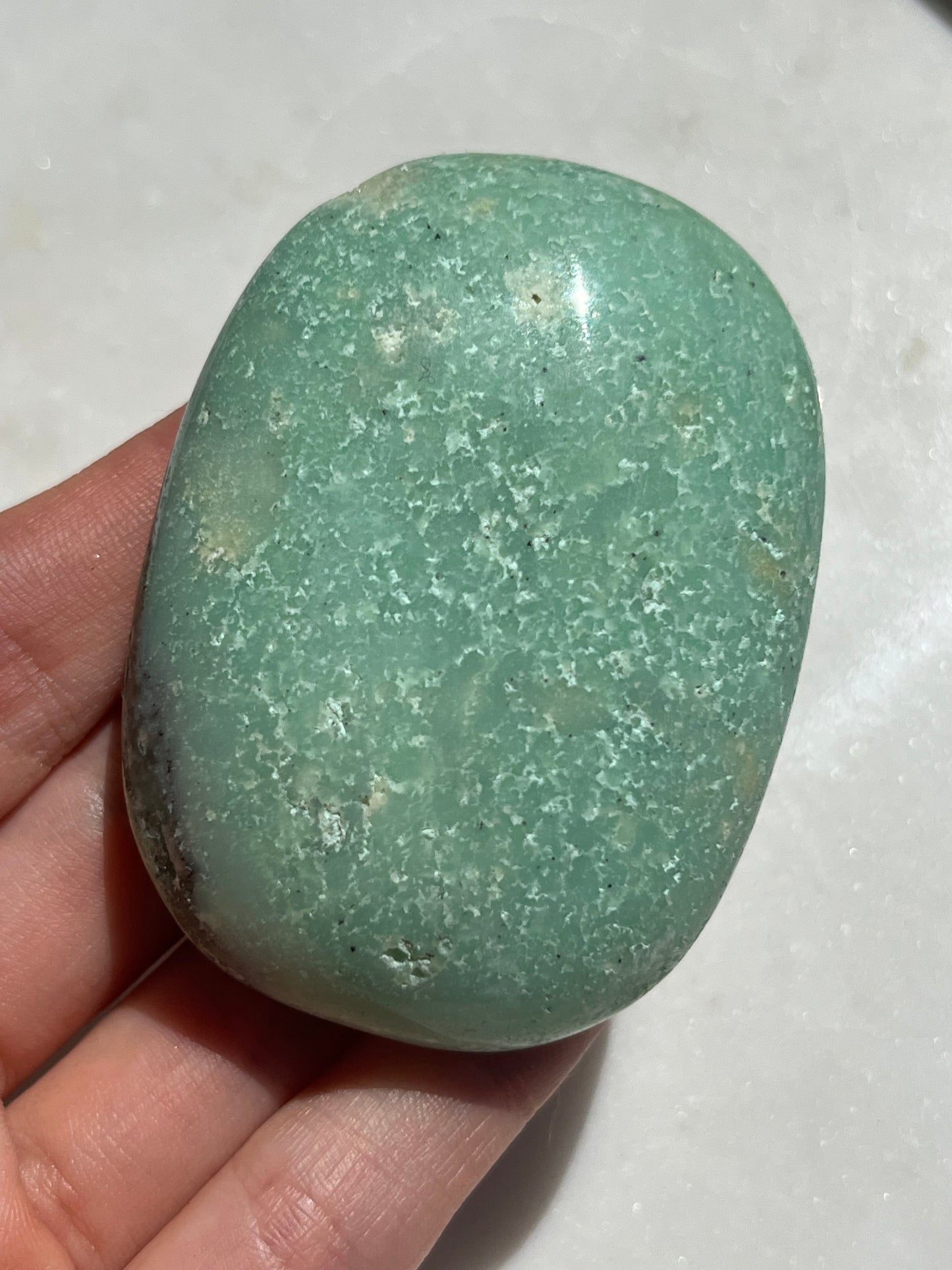 Indonesian Chrysoprase Palmstone w/Dendritic Inclusions #2