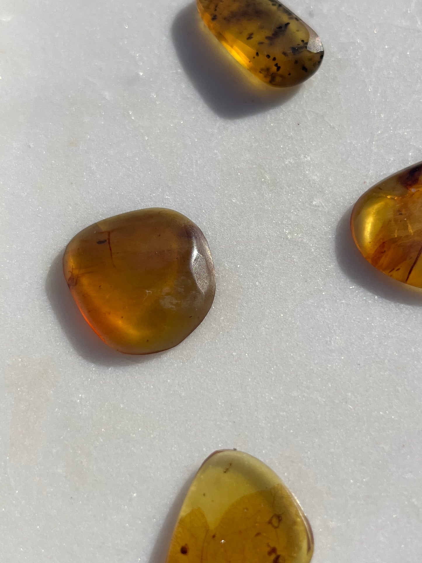 Polished Amber Specimen with Plant and/or Insect Inclusions