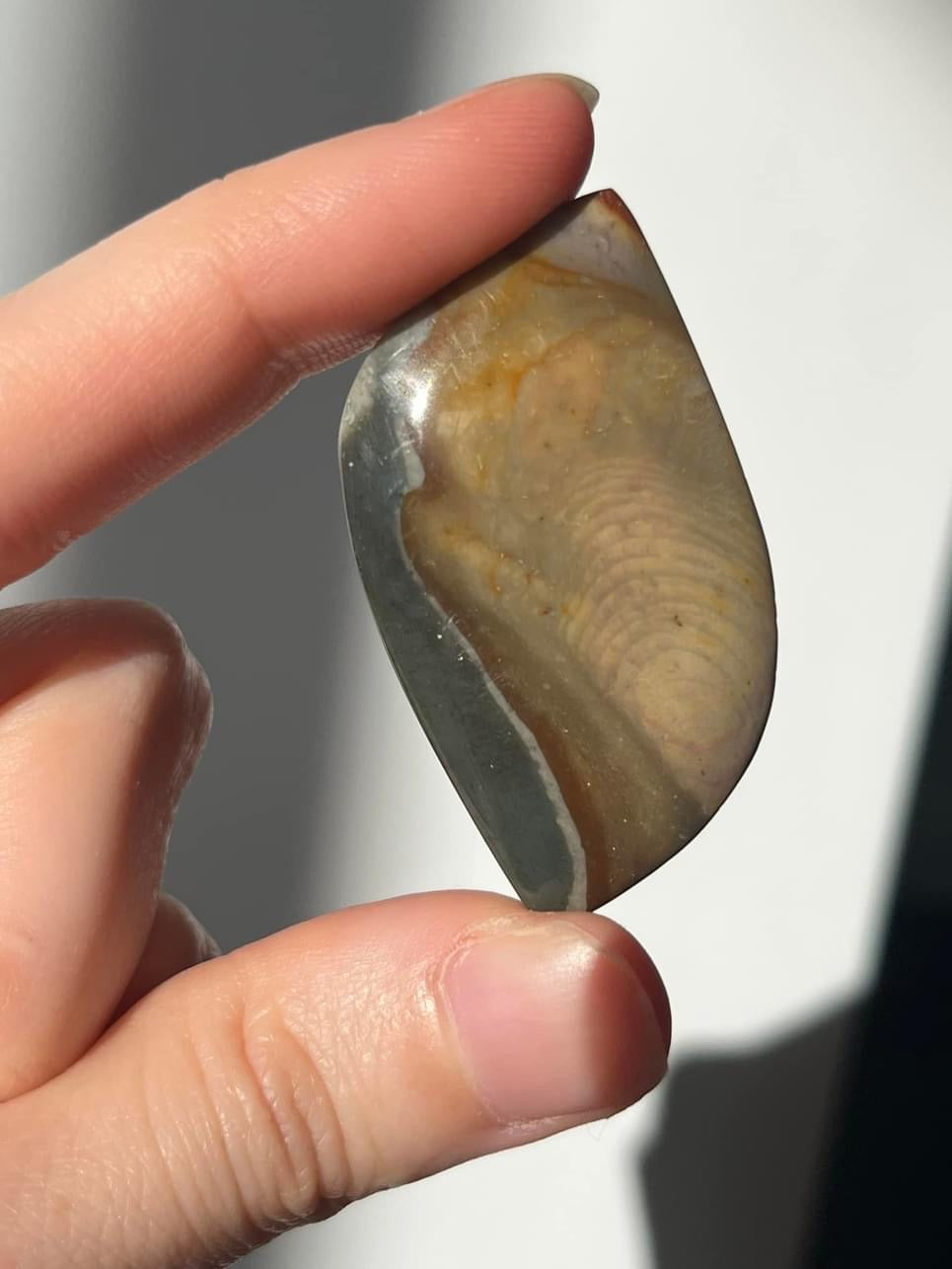 A Grade Polychrome Jasper Cabochon (You Choose)