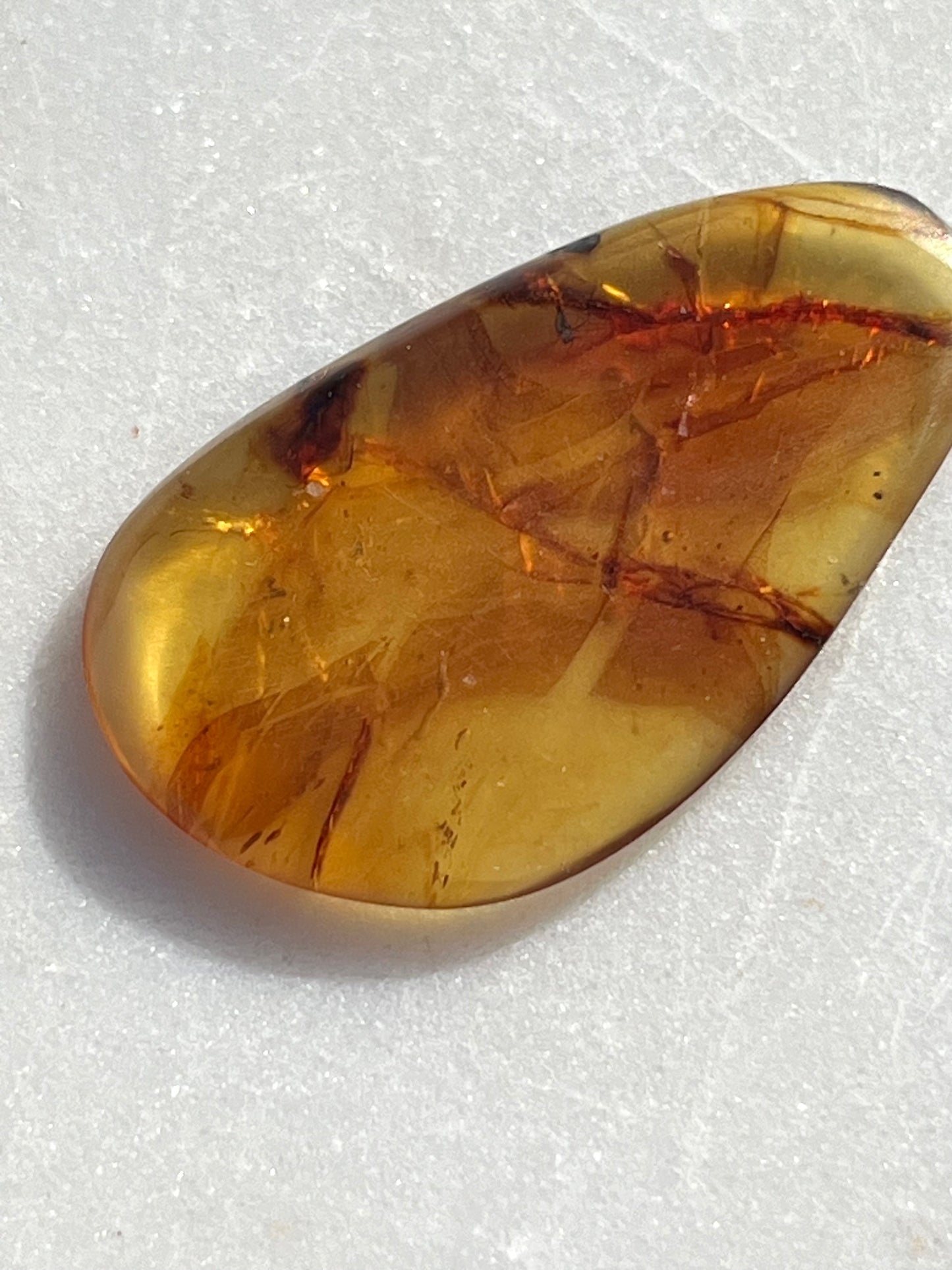 Polished Amber Specimen with Plant and/or Insect Inclusions