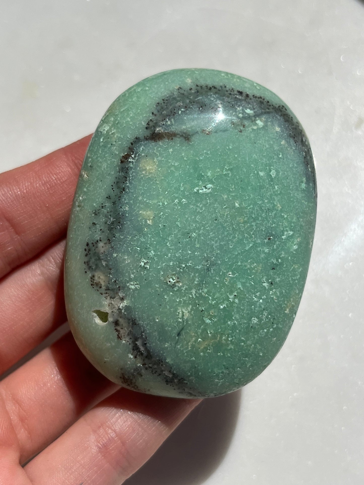 Indonesian Chrysoprase Palmstone w/Dendritic Inclusions #2