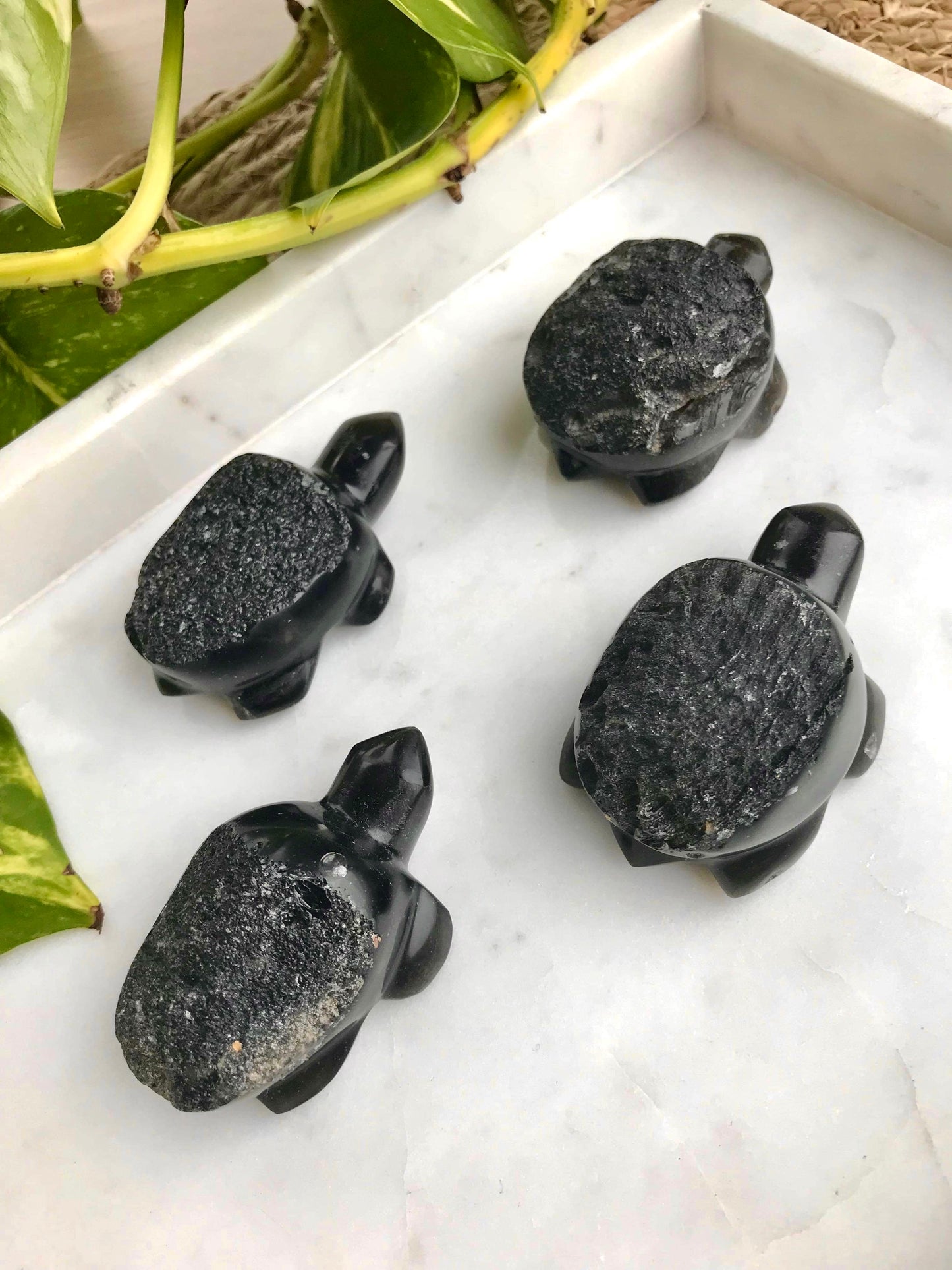 Agni Manitite ‘Pearl of the Divine Fire’ Turtle Carving (Chipped Toe)