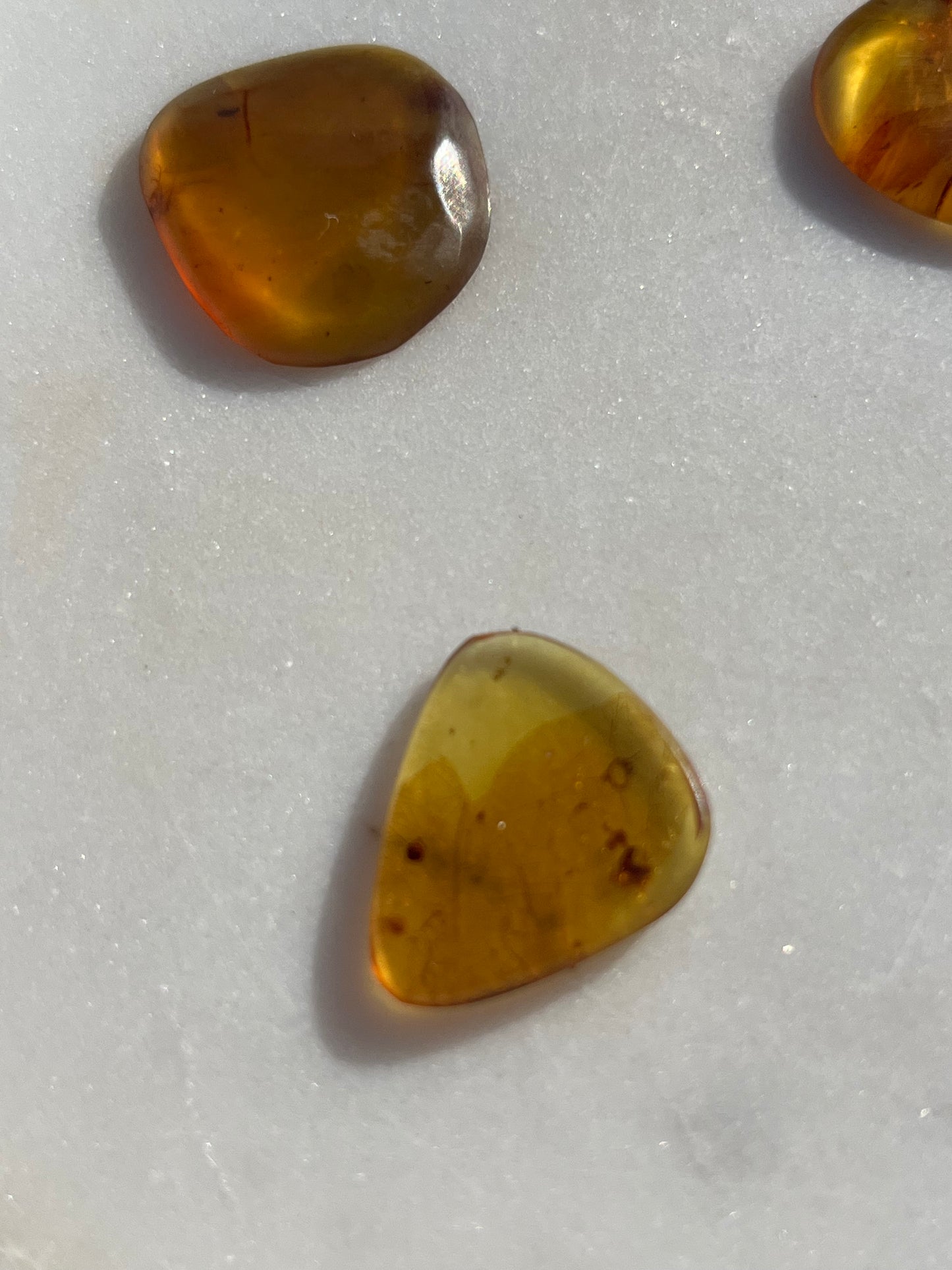 Polished Amber Specimen with Plant and/or Insect Inclusions