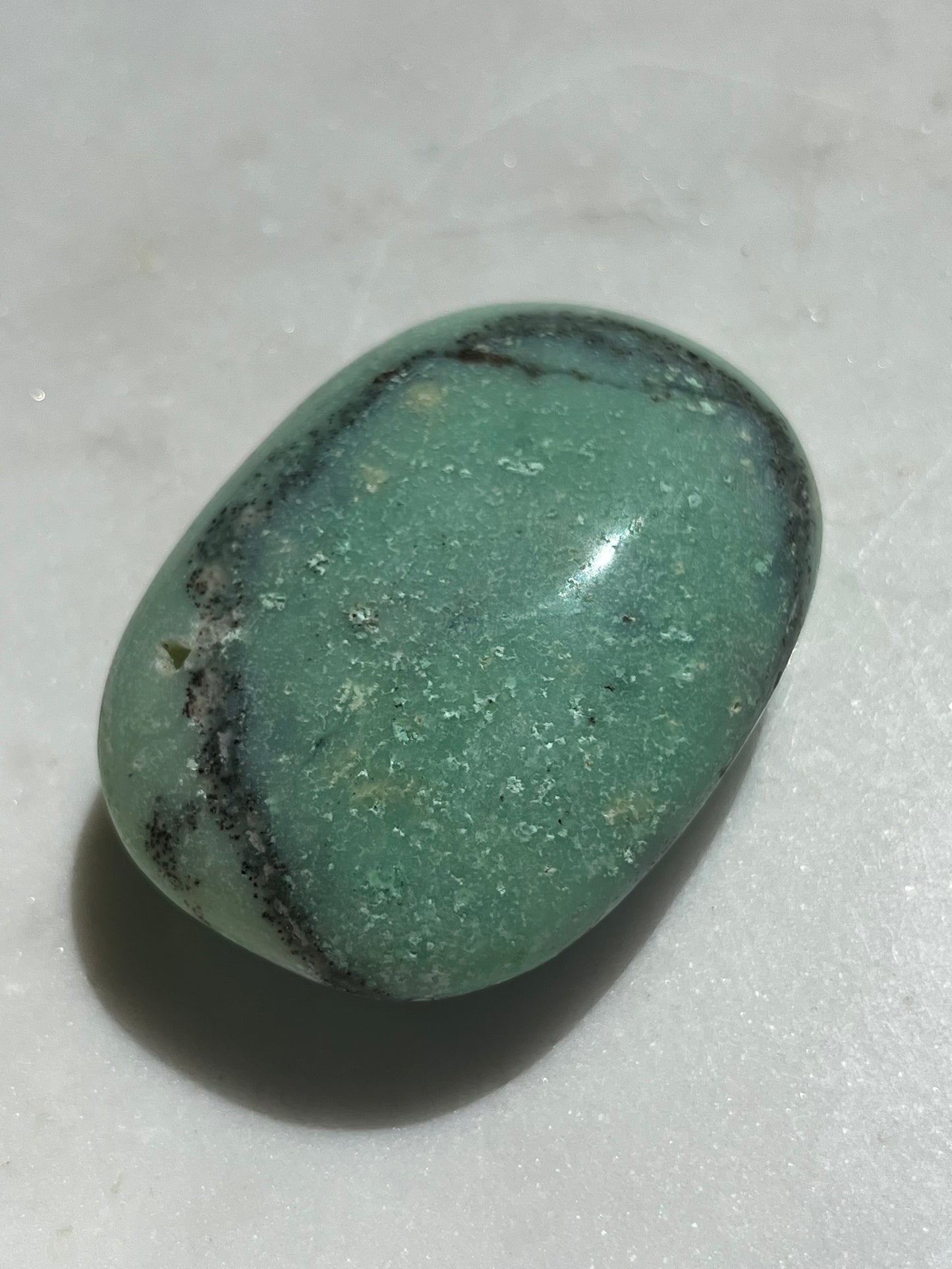 Indonesian Chrysoprase Palmstone w/Dendritic Inclusions #2