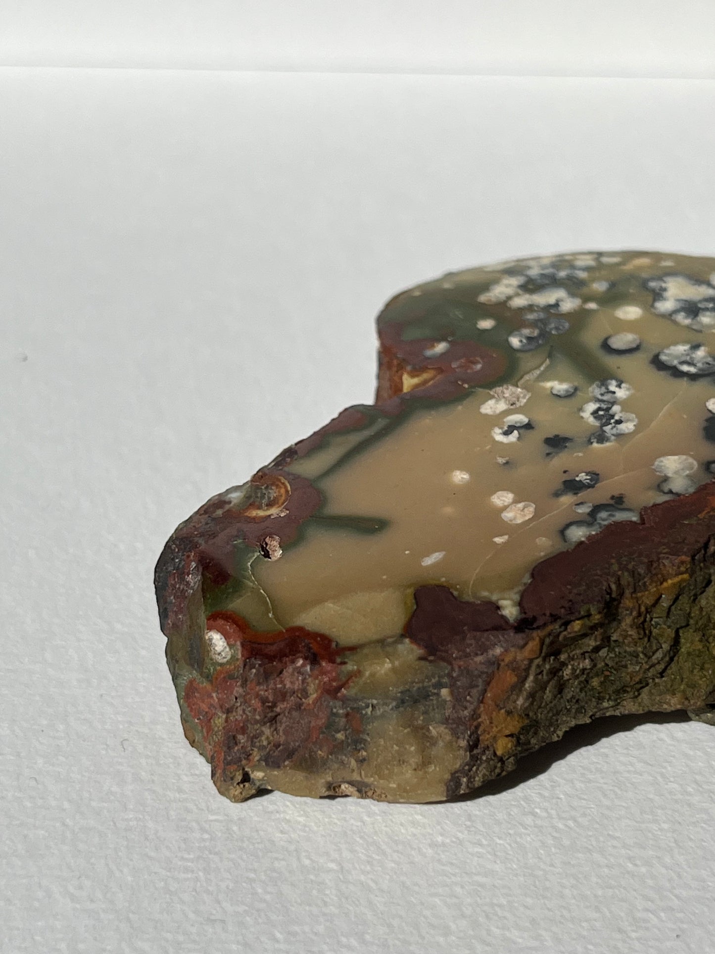 "Dandelion Trails" Batu Seniman Picture Jasper Polished Slab B