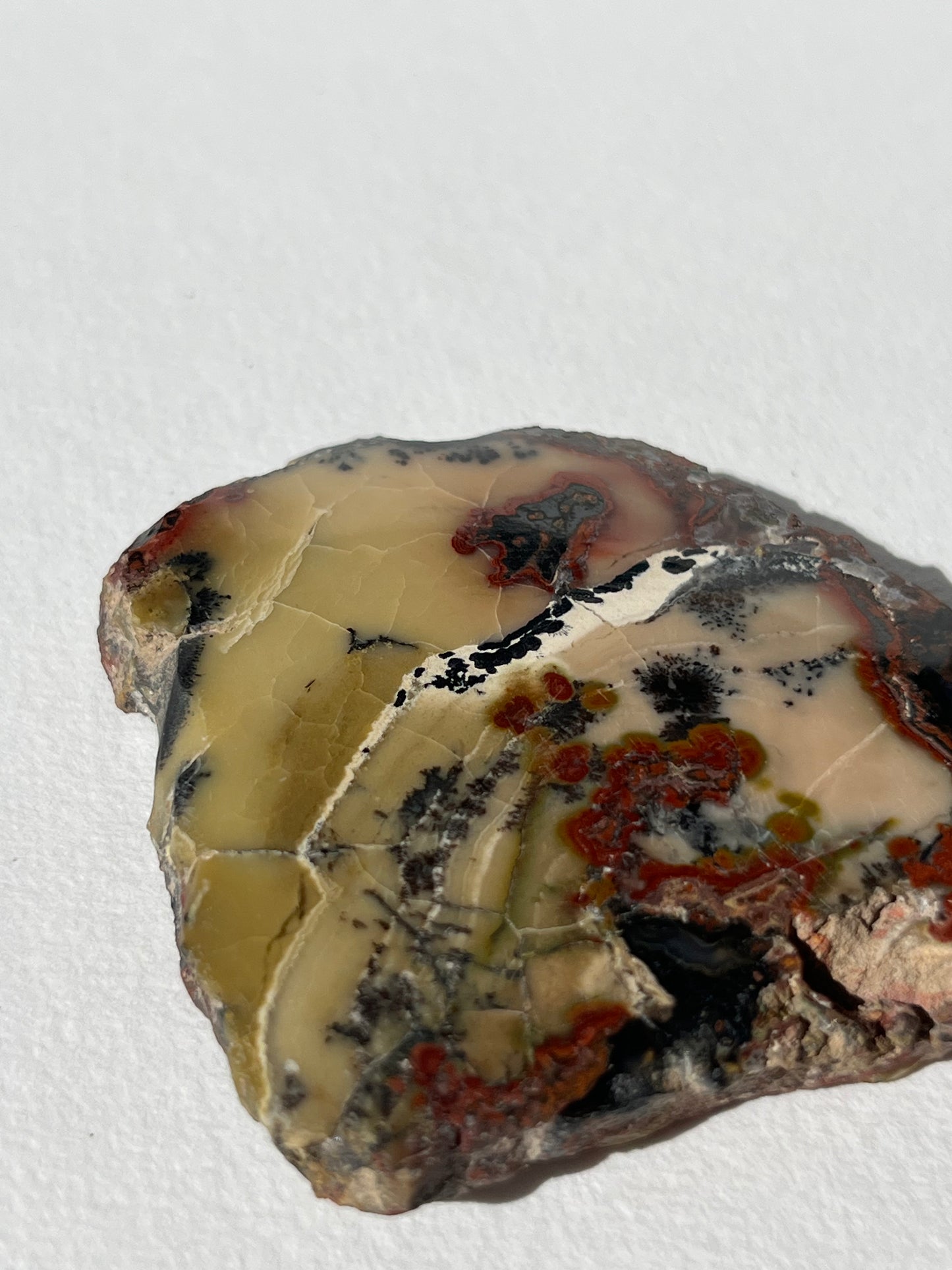 "The Sound of Music" Batu Seniman Picture Jasper Polished Slab with Dendritic Inclusions E