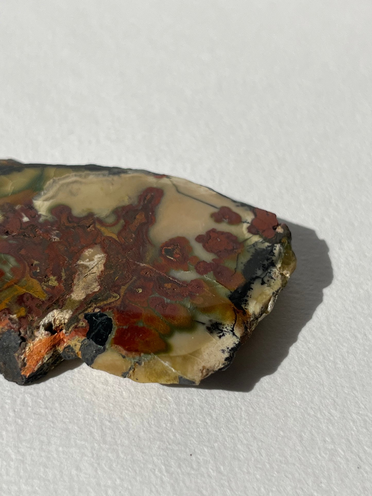 “Leafy Seadragon” Batu Seniman Picture Jasper Polished Slab H