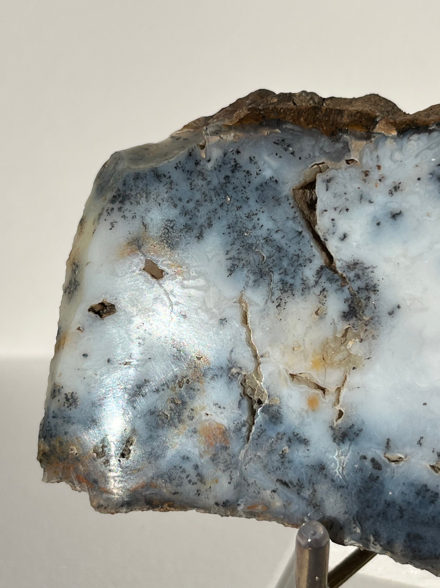 Blue Dendritic Opal Slab A