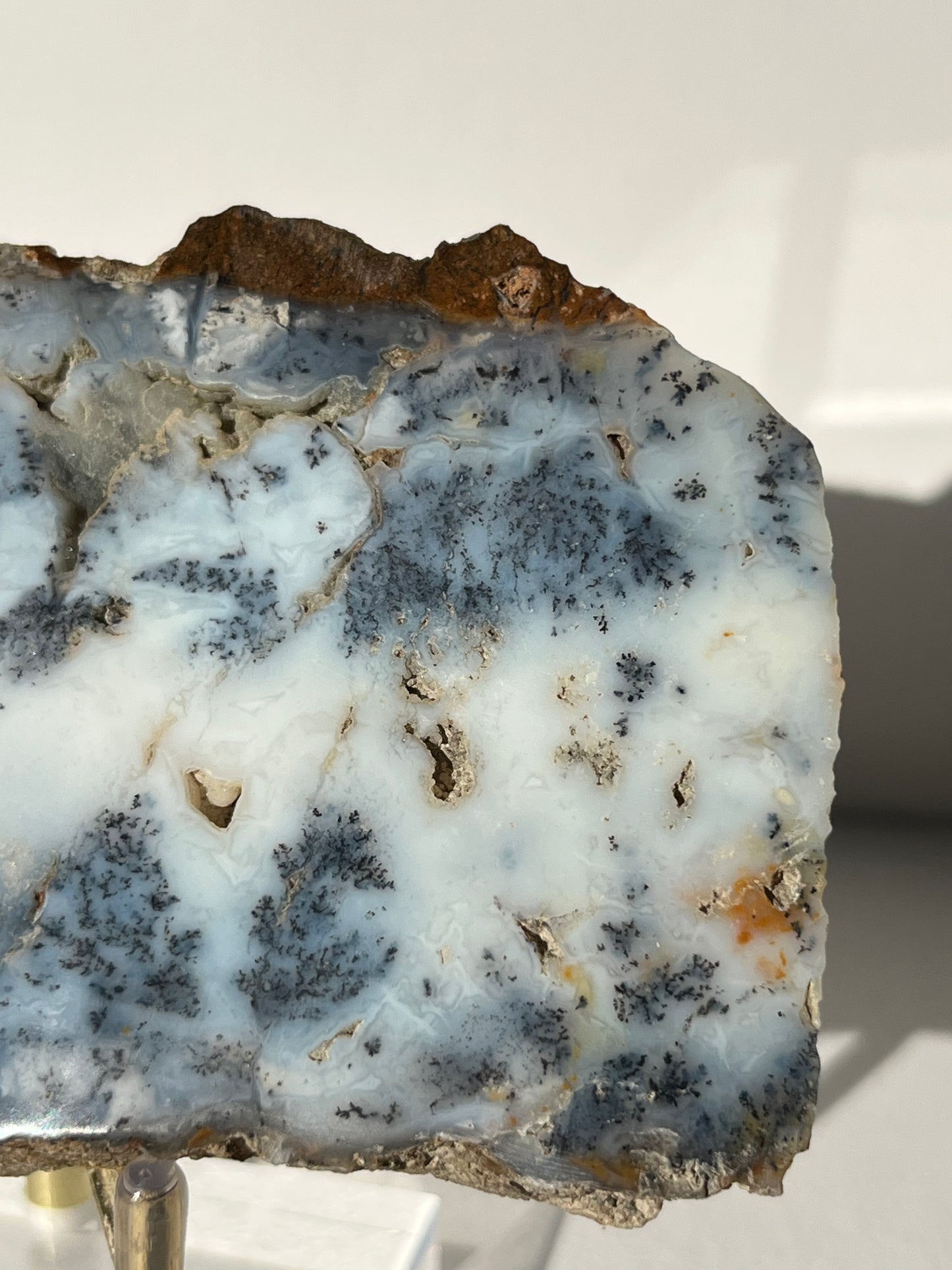 Blue Dendritic Opal Slab A