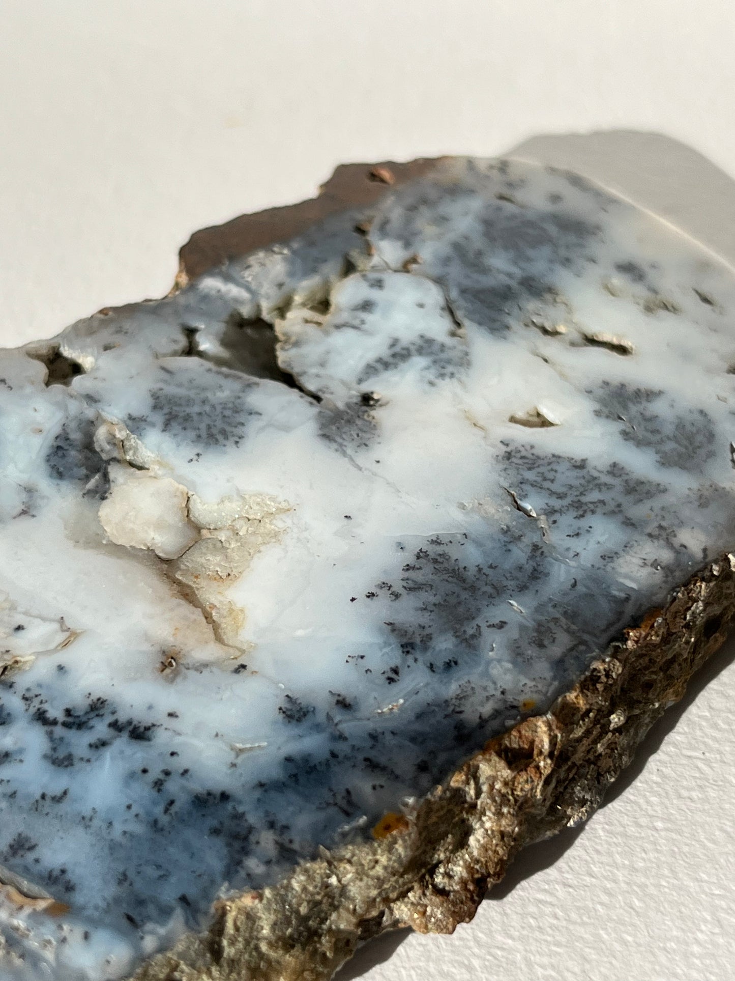 Blue Dendritic Opal Slab A