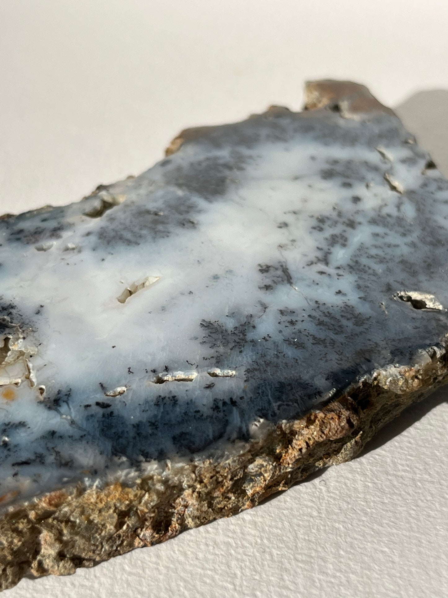Blue Dendritic Opal Slab A