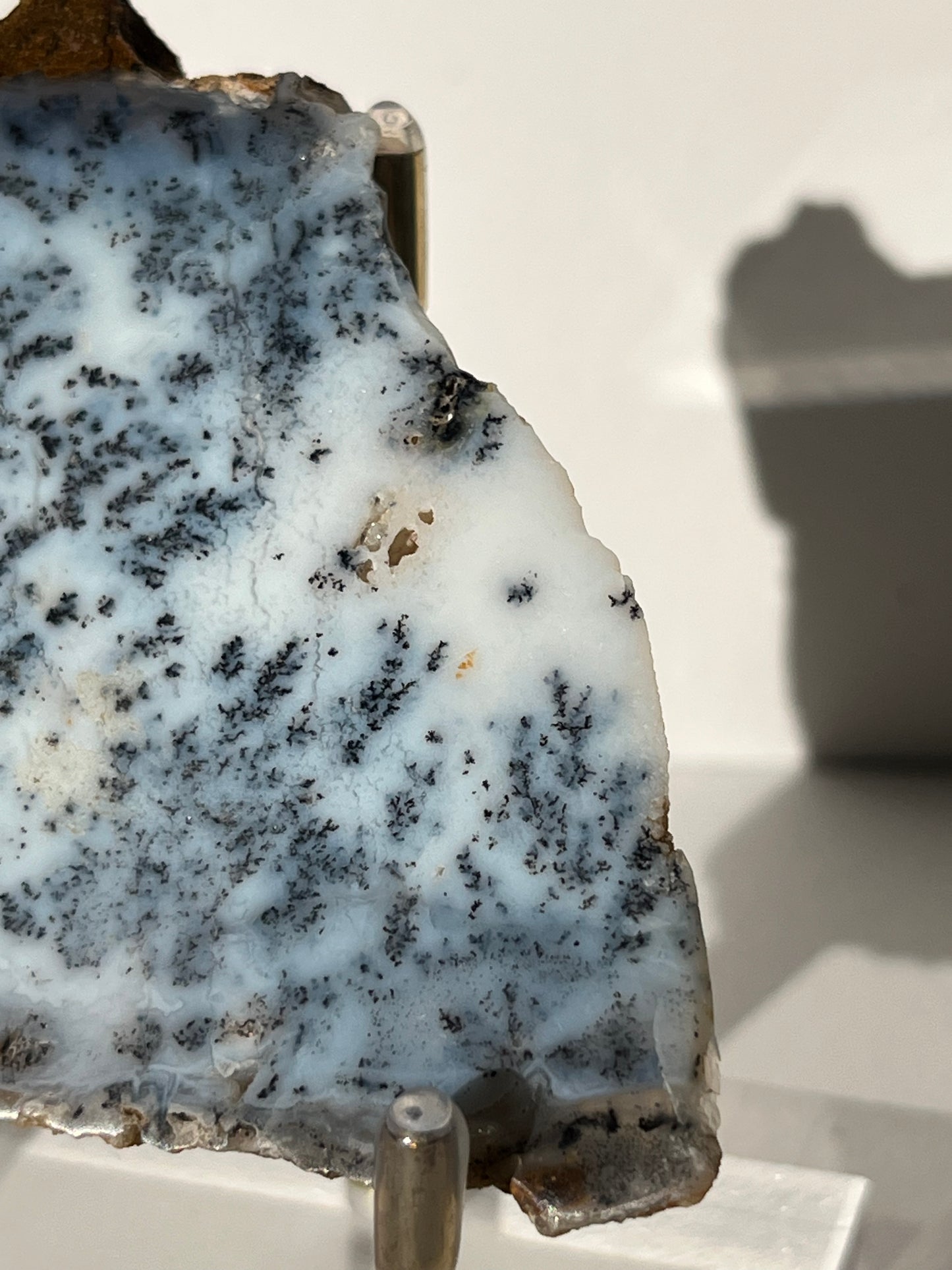 Blue Dendritic Opal Slab F