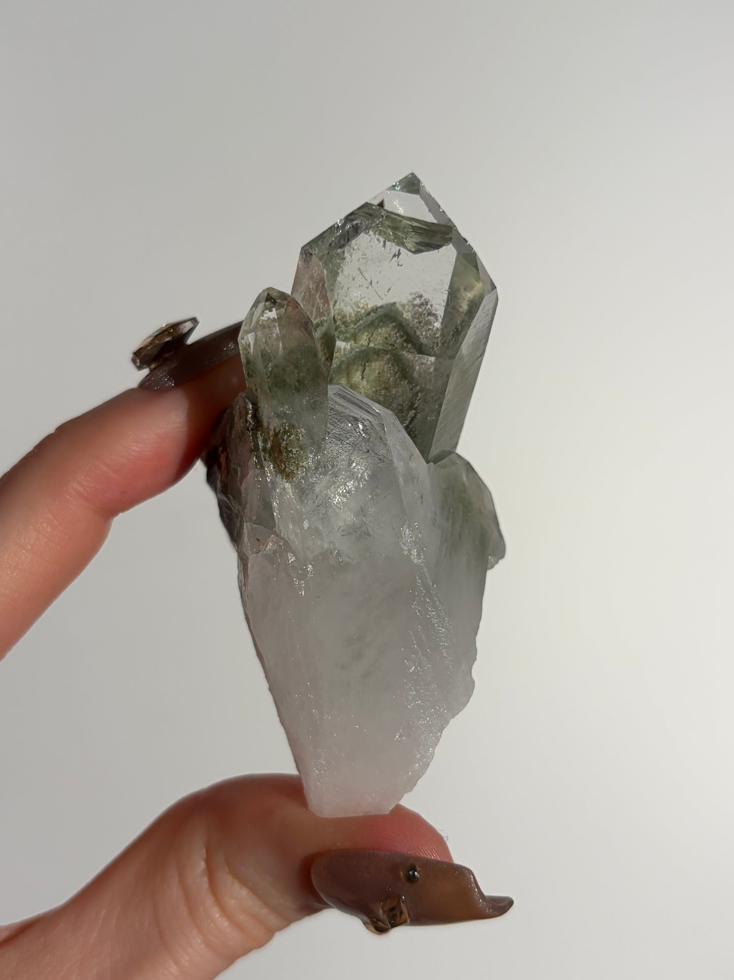 Phantom Chlorite Included Quartz Specimen L