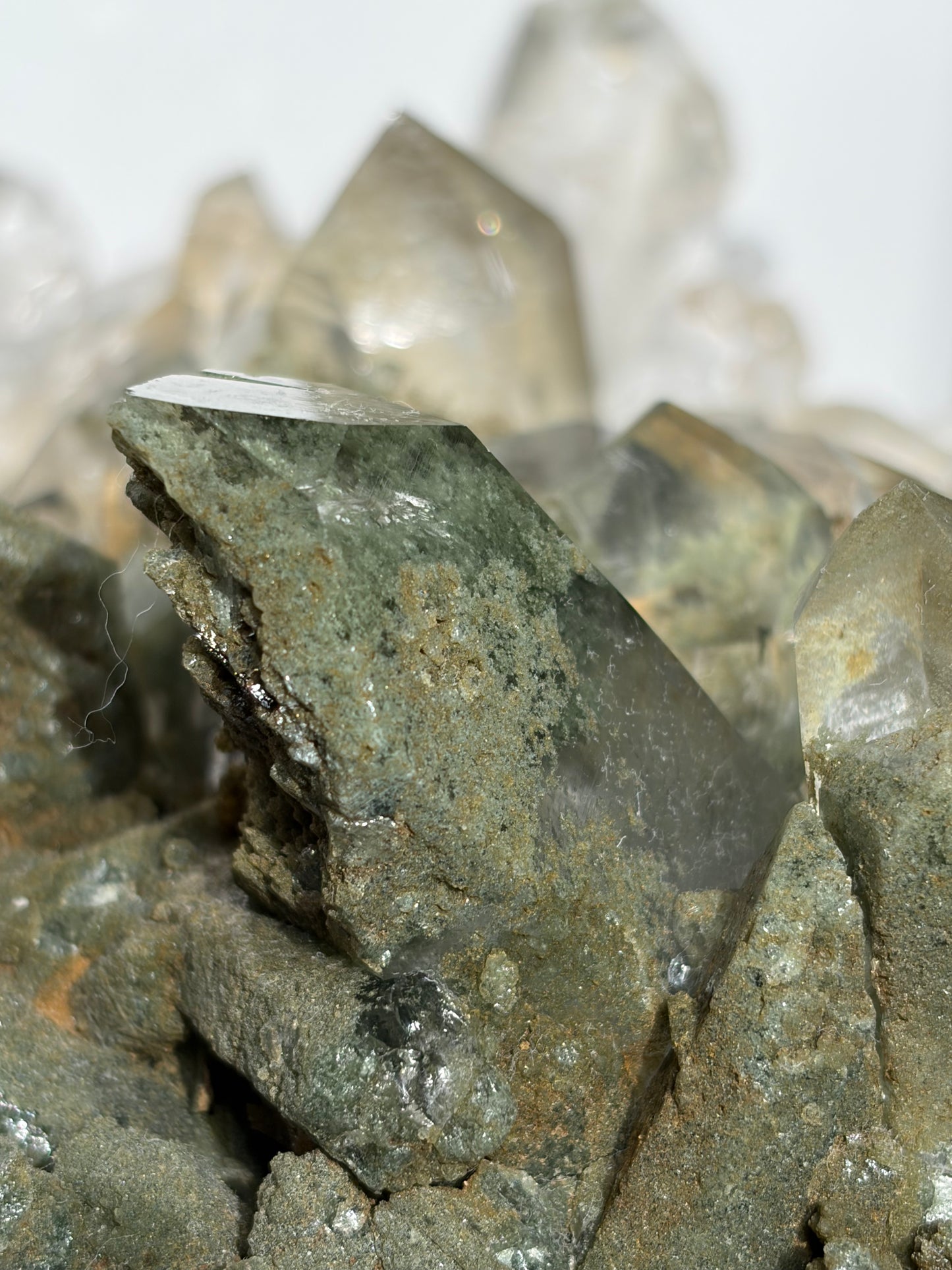 "La Reine" Chlorite Included Quartz Statement Specimen