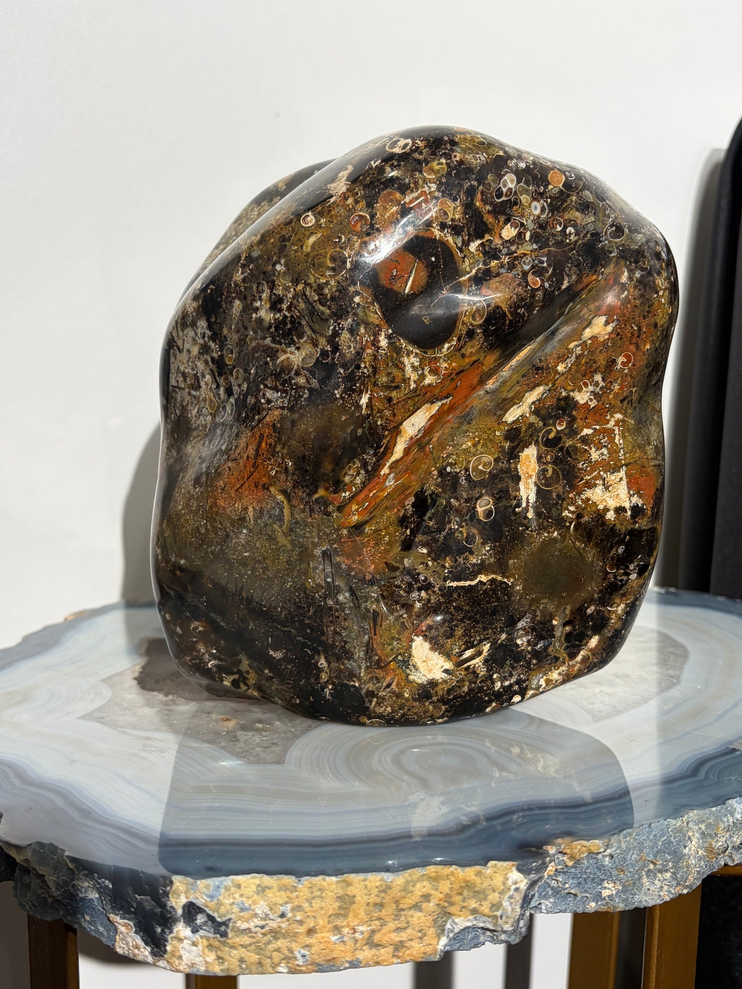 "Octavius" Polished Crinoid Fossil Freeform