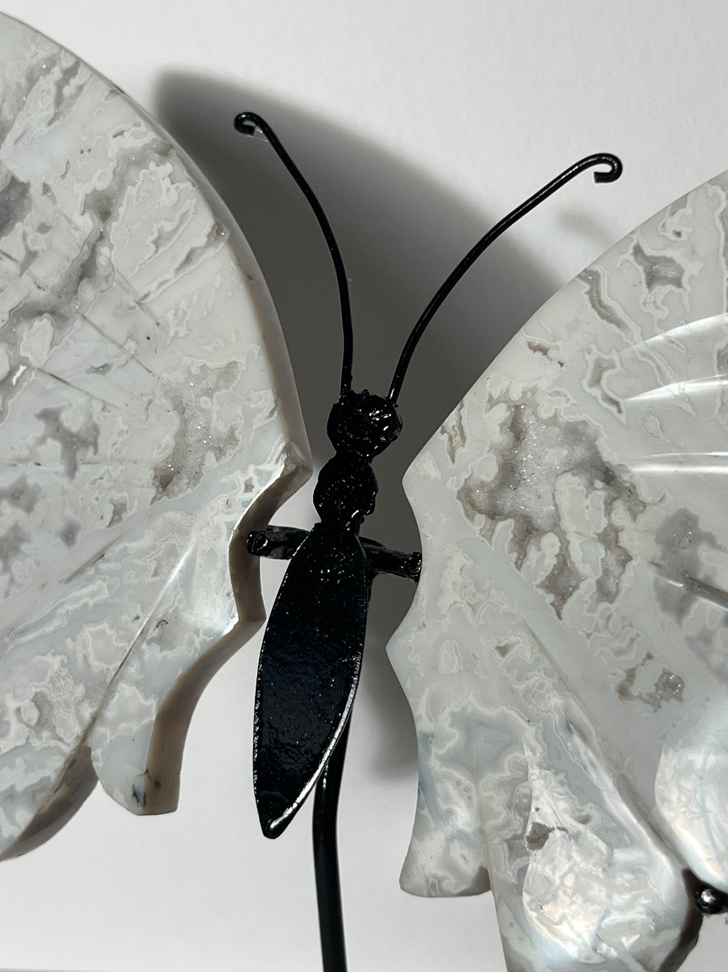 Druzy Snow Agate Butterfly Wings on Stand B