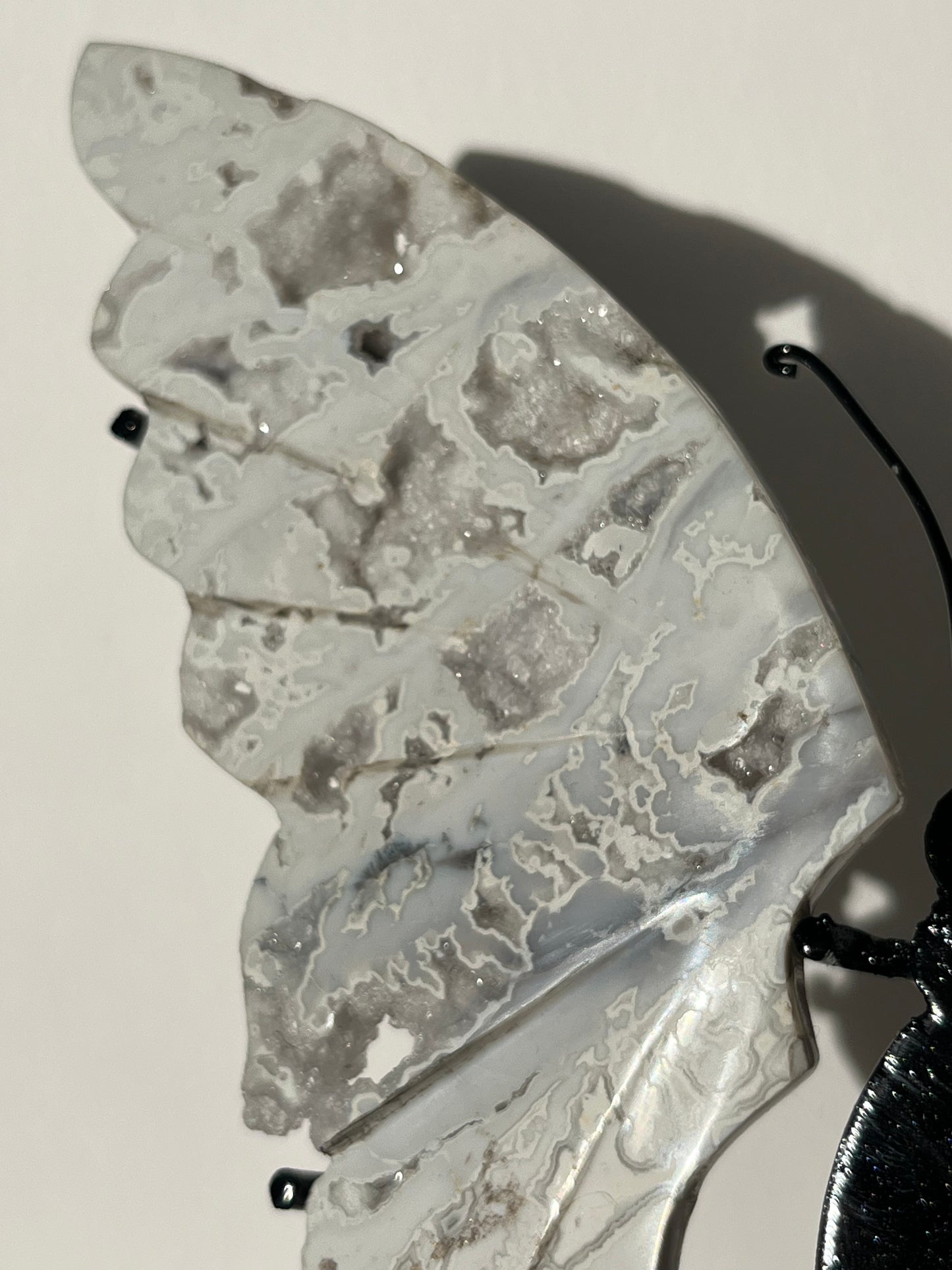 Druzy Snow Agate Butterfly Wings on Stand A