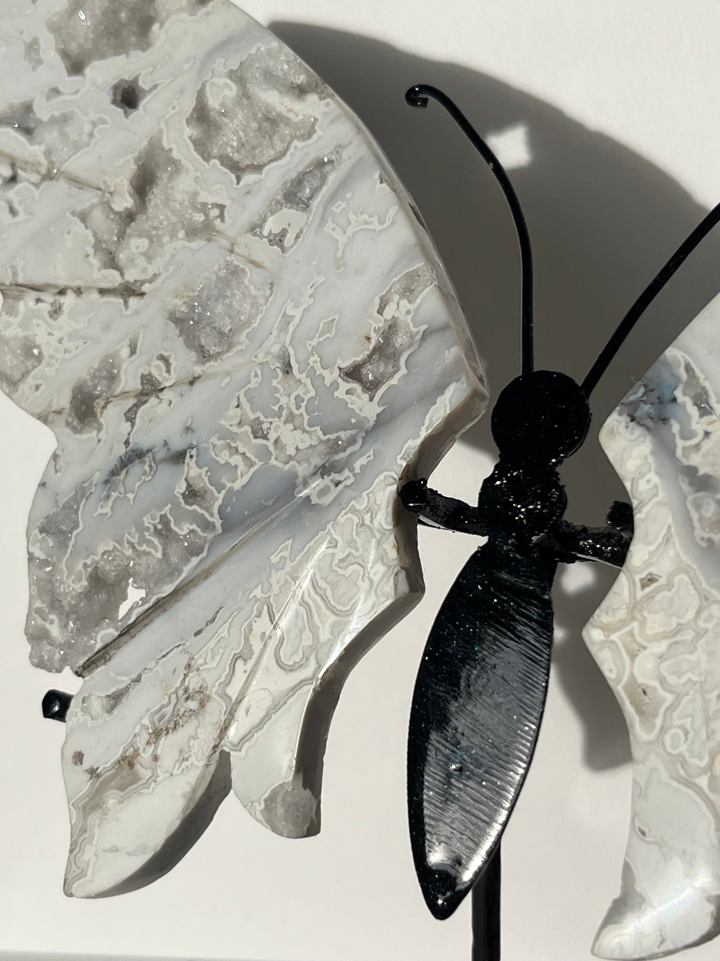 Druzy Snow Agate Butterfly Wings on Stand A