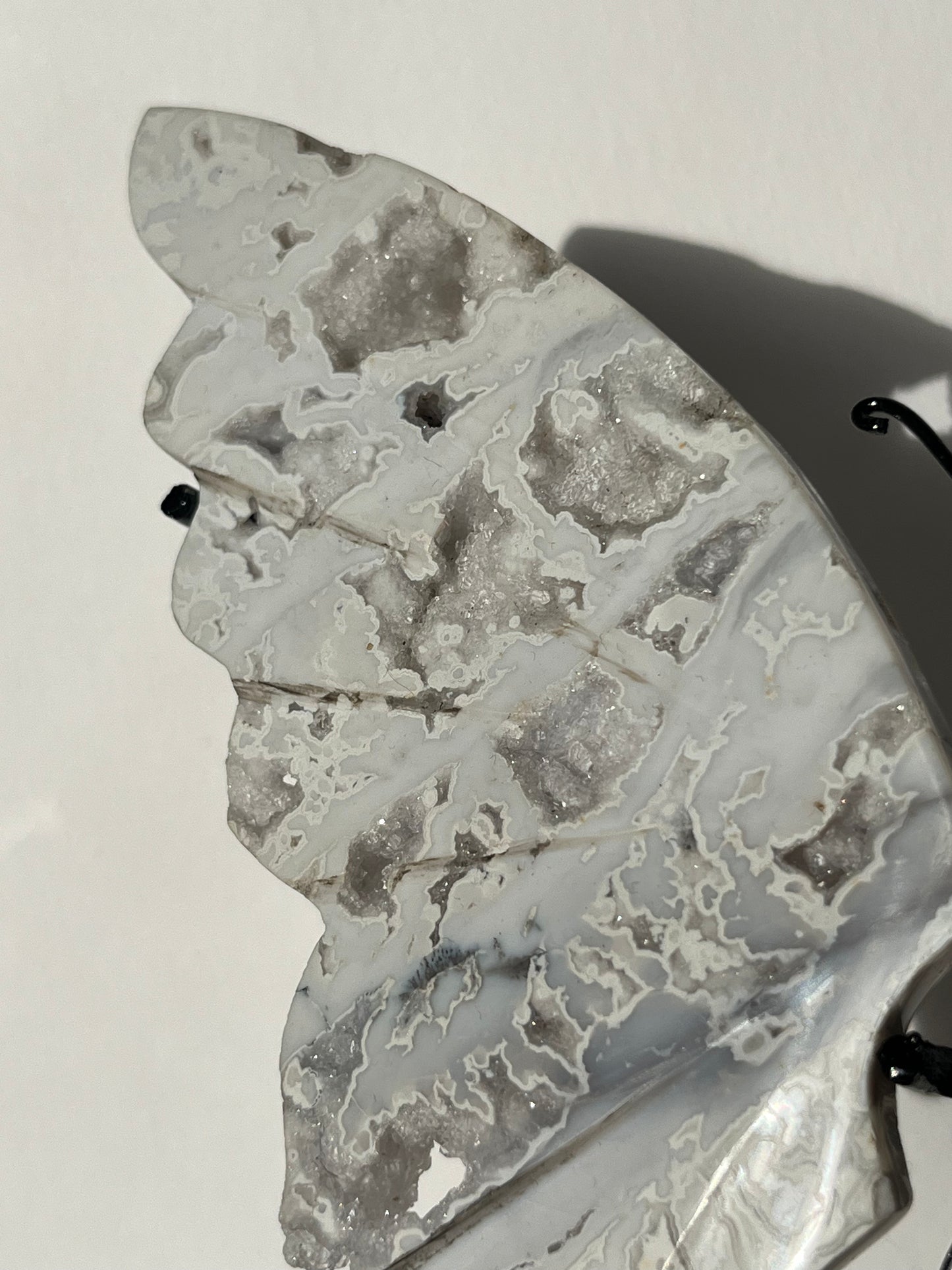 Druzy Snow Agate Butterfly Wings on Stand A