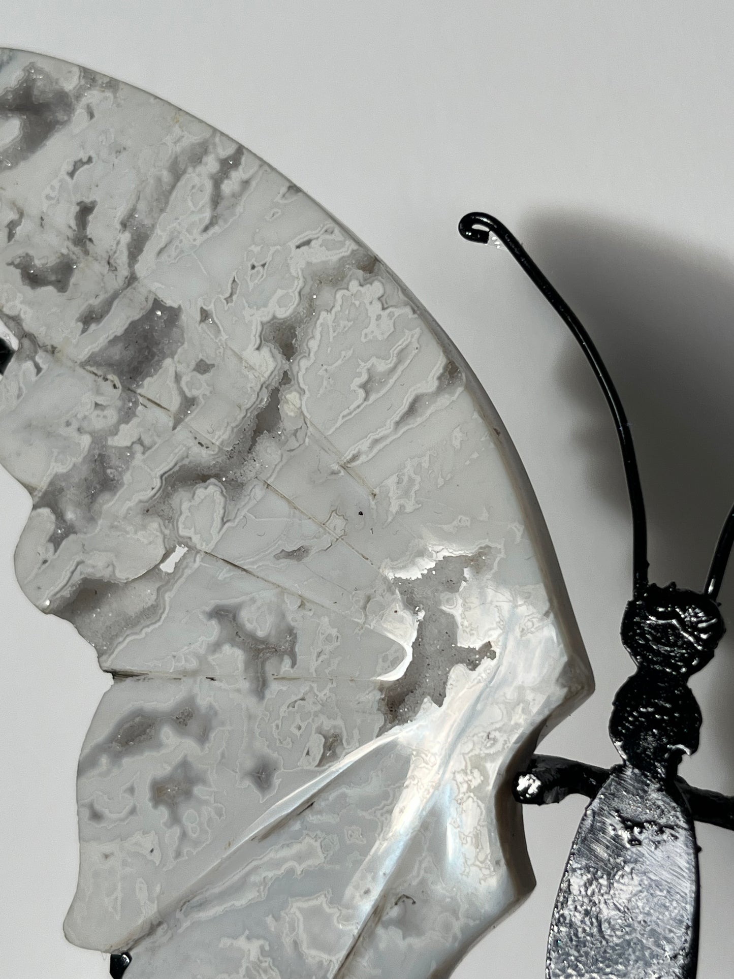 Druzy Snow Agate Butterfly Wings on Stand B