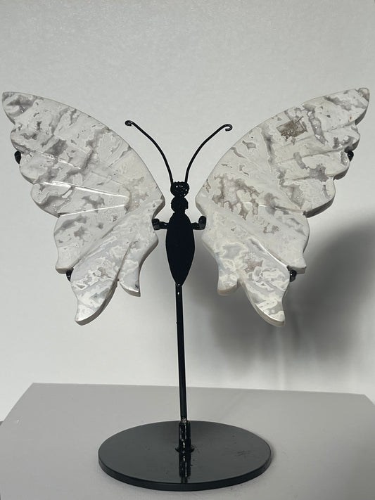 Druzy Snow Agate Butterfly Wings on Stand B