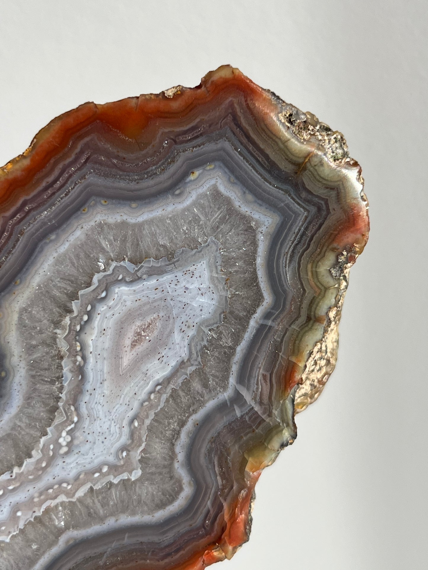 'Violet Halos' East Indonesian Agate Pair with Platelet Suspensions (Collector’s Choice)