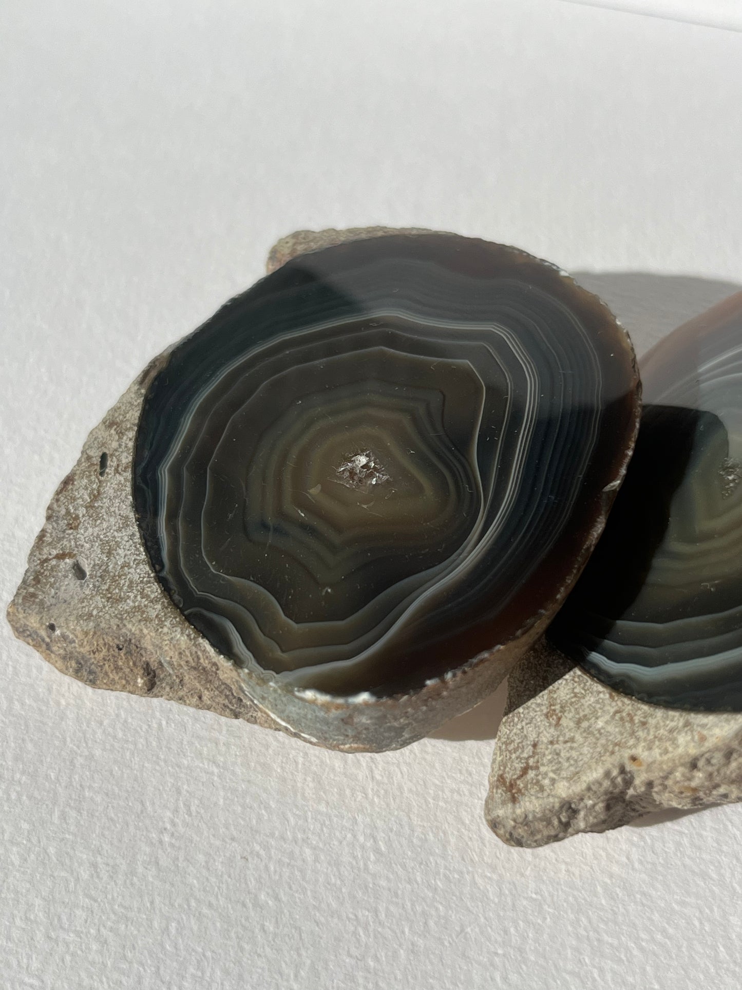 "Wise Eyes" East Indonesian Agate in Situ Host Rock Pair B (Collector's Choice)