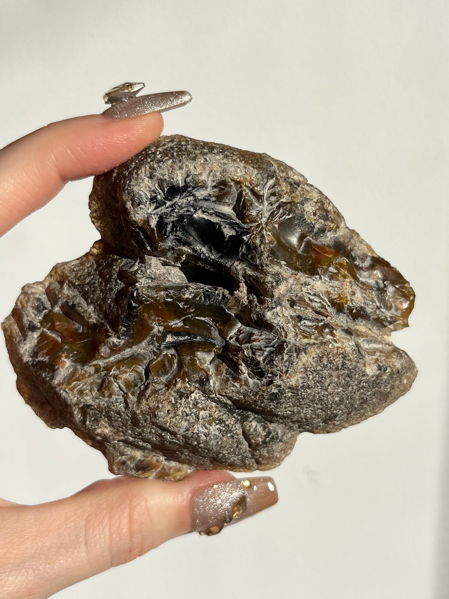 “Event Horizon” East Indonesian Agate Specimen D