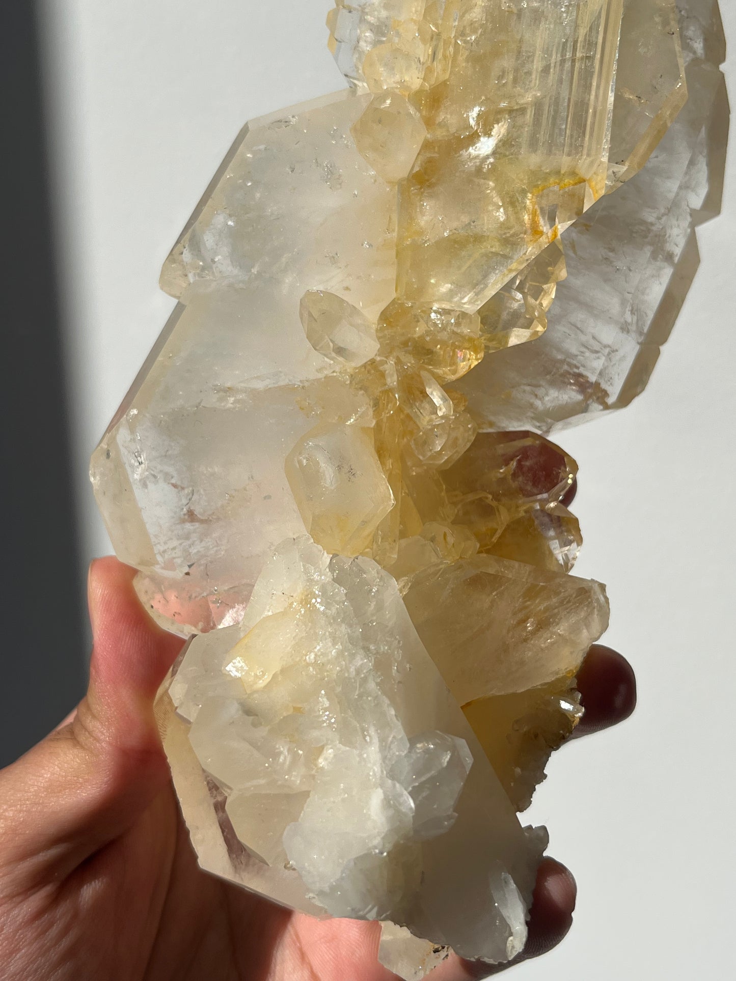 “The Luminous Axis” Golden Healer Faden Quartz Specimen A