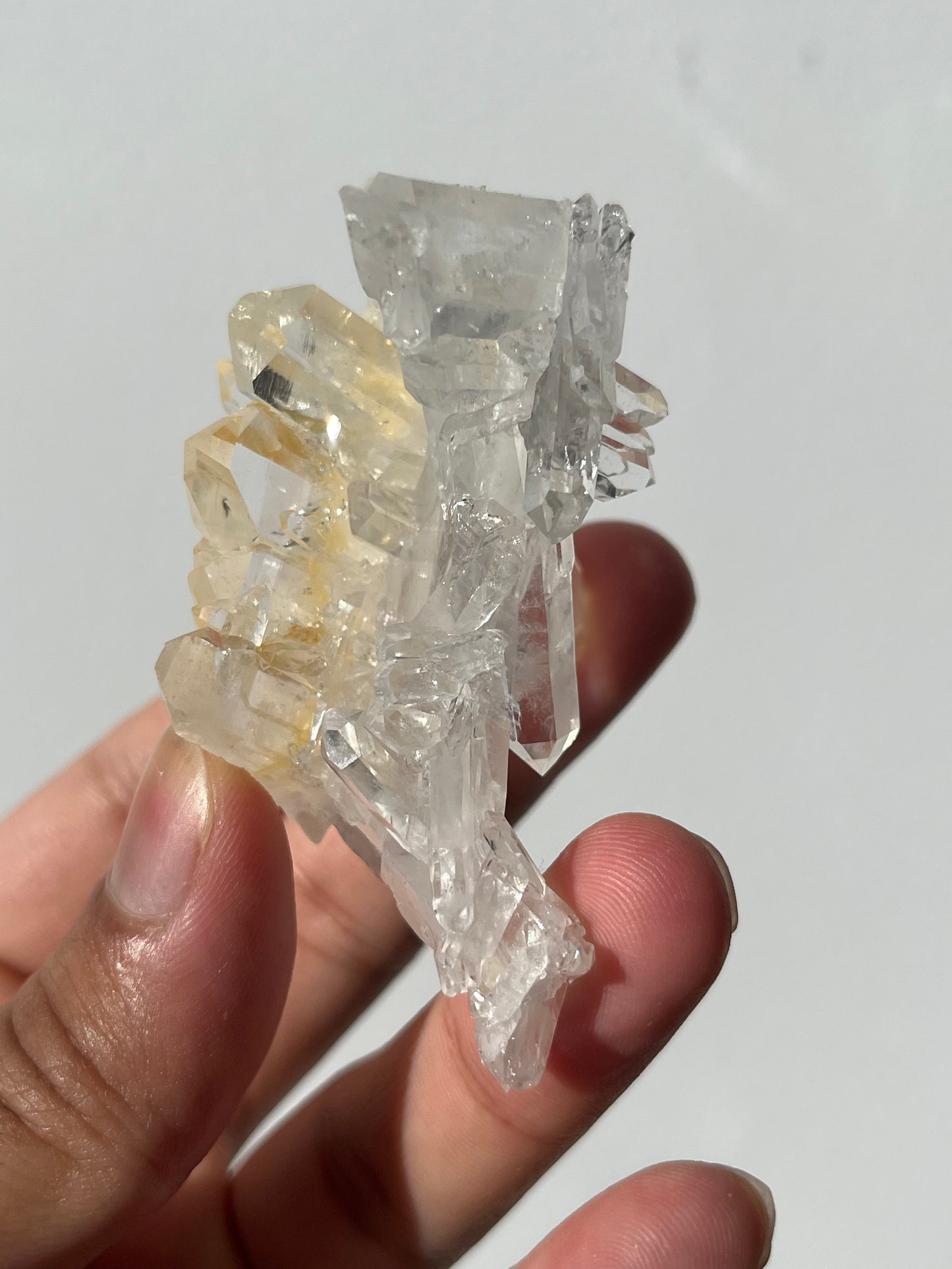 “Spires of Light” Golden Healer Faden Quartz Specimen I