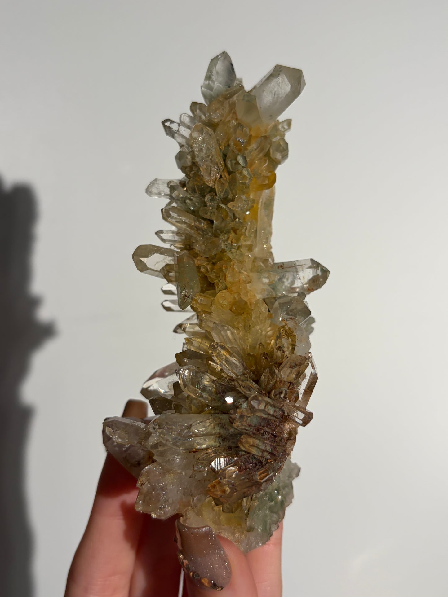 Water Clear Golden Healer Chlorite Included Quartz Specimen D