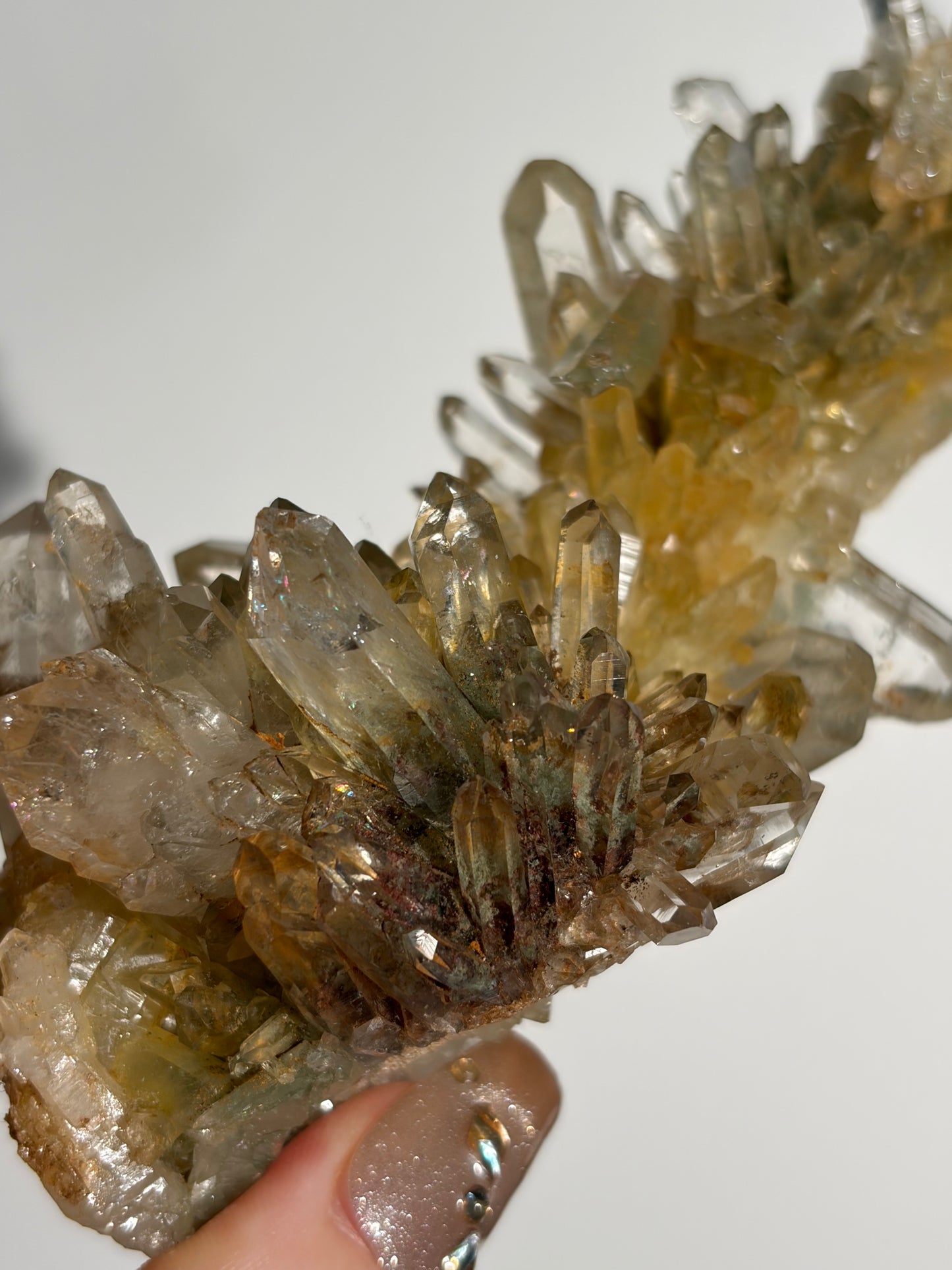 Water Clear Golden Healer Chlorite Included Quartz Specimen D