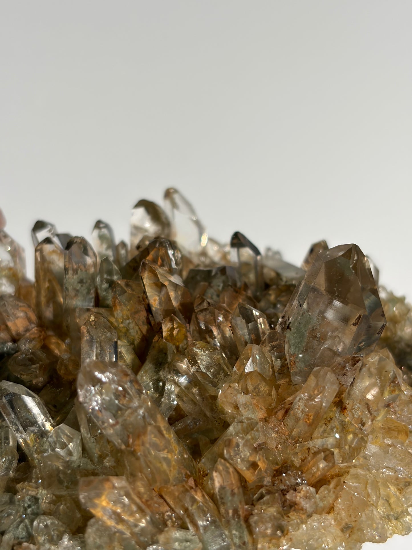 Golden Healer Chlorite Included Quartz Specimen F