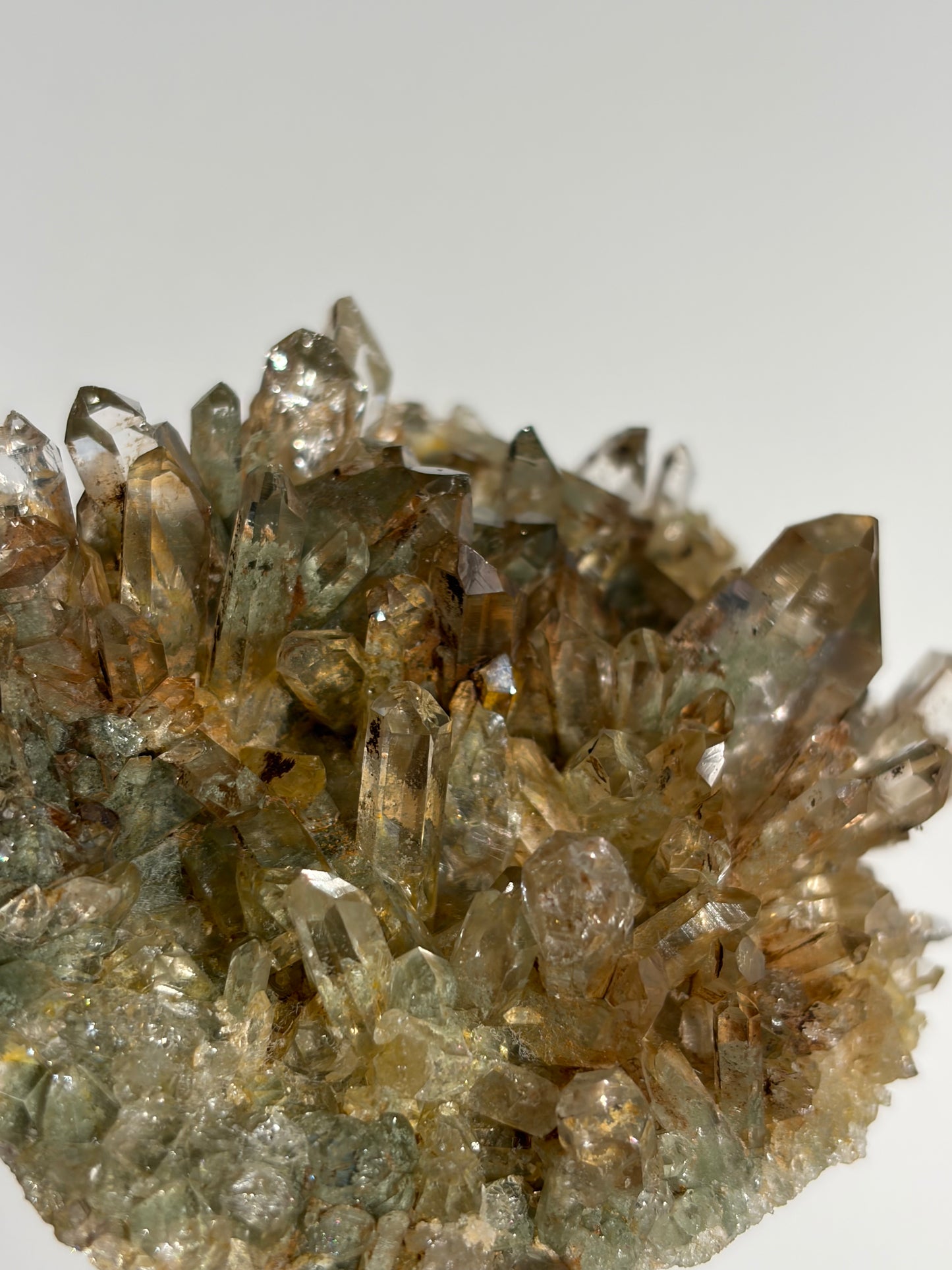 Golden Healer Chlorite Included Quartz Specimen F
