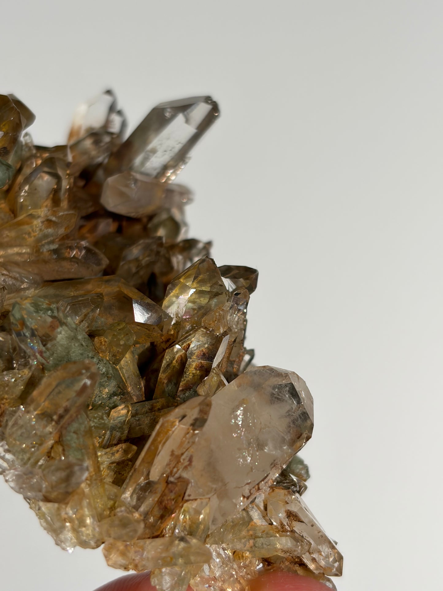 Water Clear Golden Healer Chlorite Included Quartz Specimen G