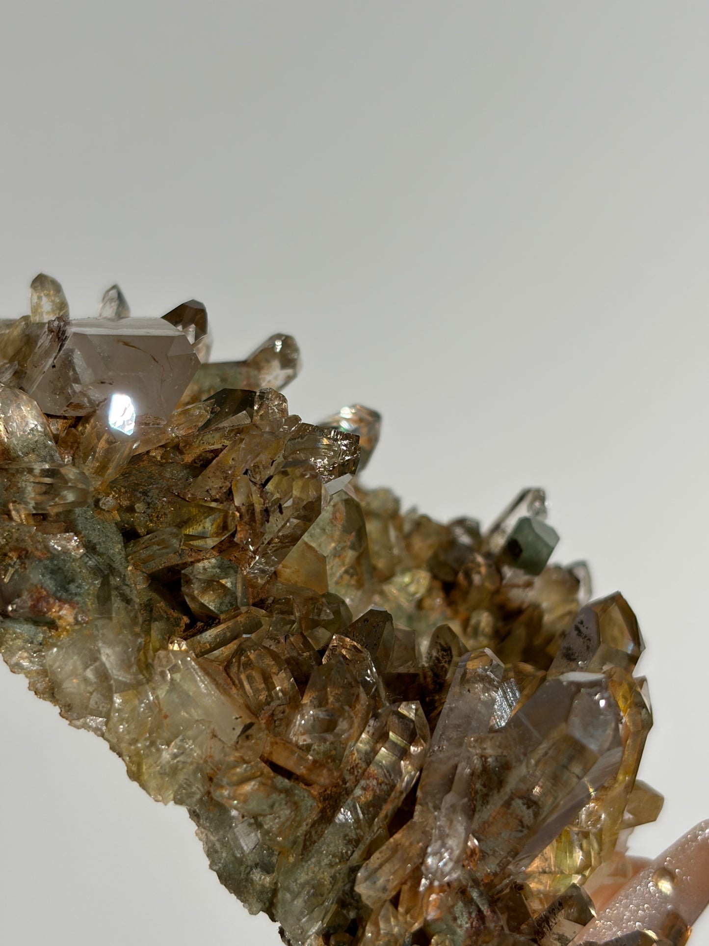 Water Clear Golden Healer Chlorite Included Quartz Specimen G