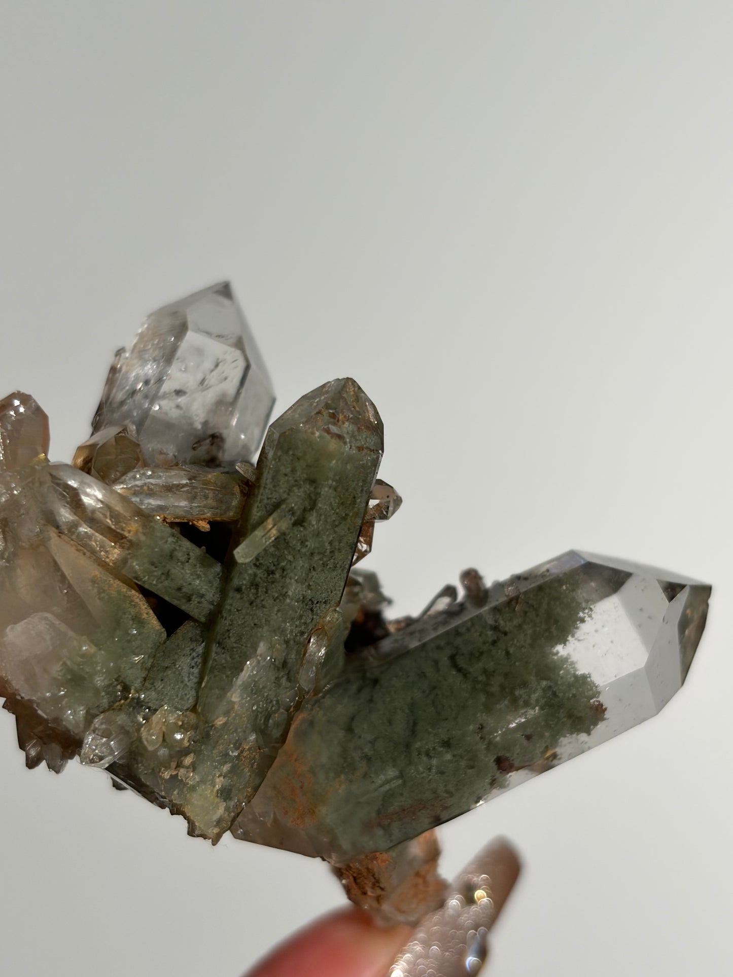Water Clear Golden Healer Chlorite Included Quartz Specimen H