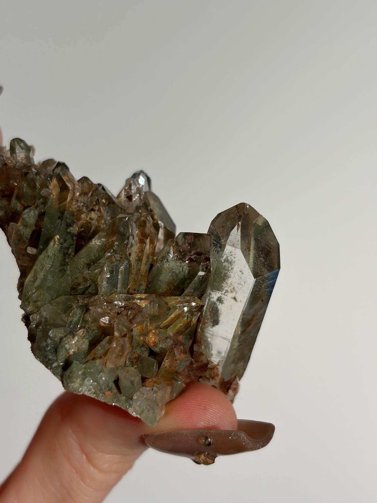 Water Clear Golden Healer Chlorite Included Quartz Specimen I