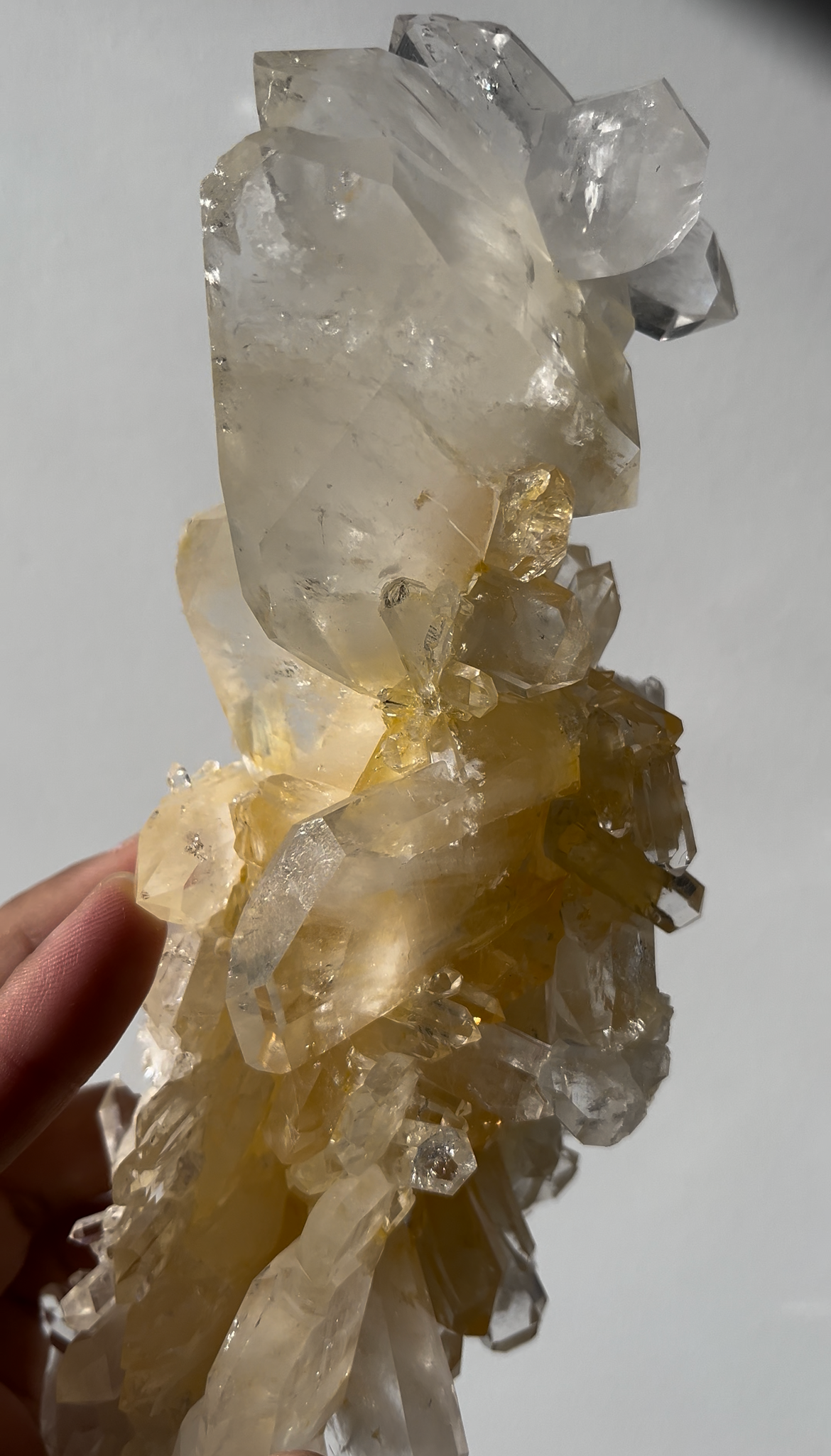 “Celestial Spine” Golden Healer Faden Quartz Specimen