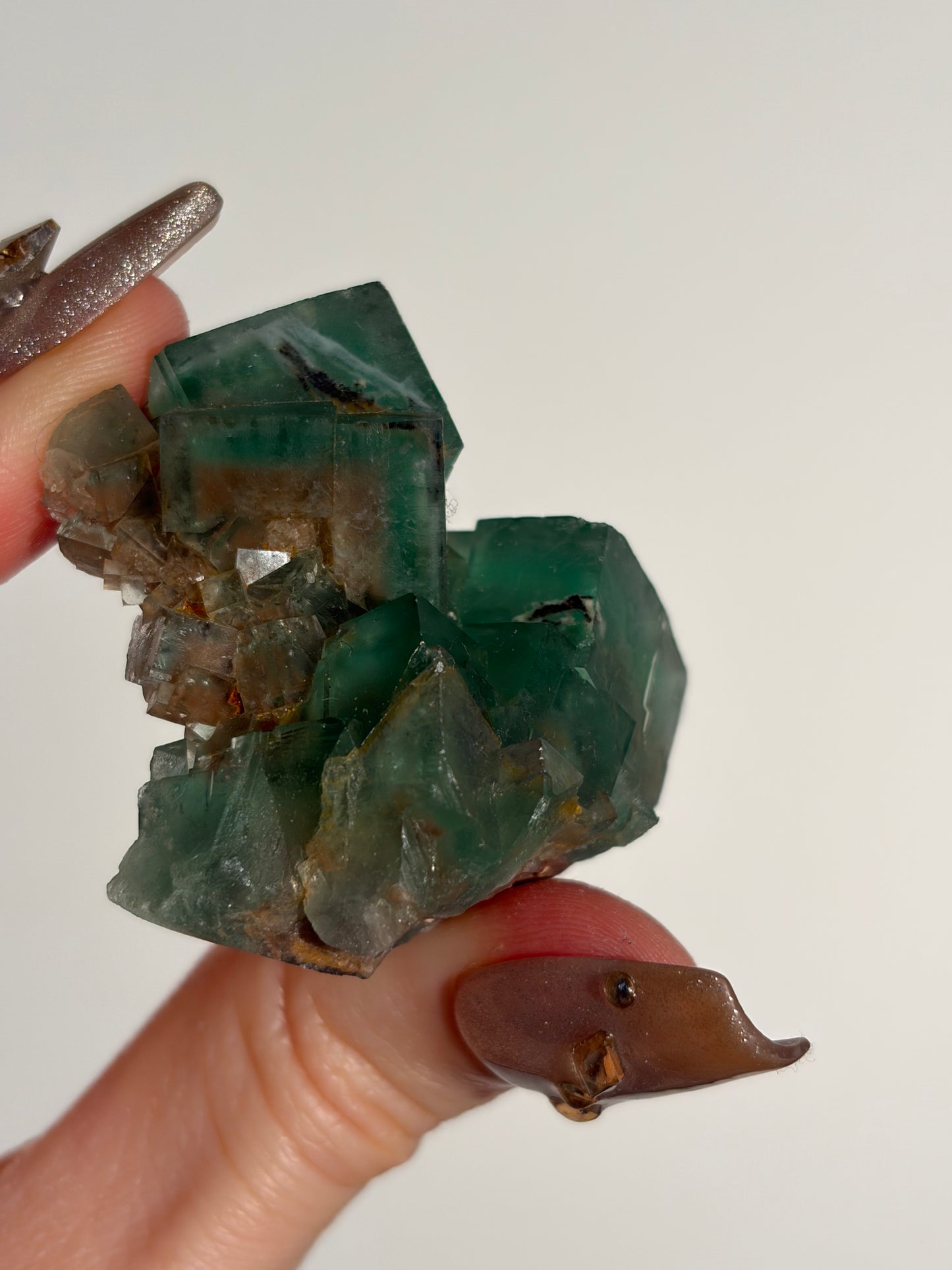 Halo Garden Fluorite Specimen D