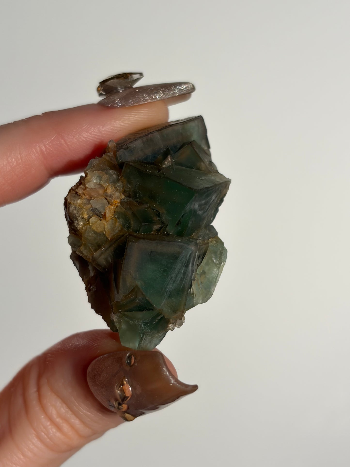 Halo Garden Fluorite Specimen E